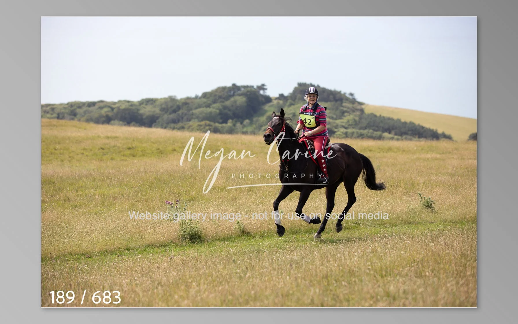 Abbotsbury-189.jpg
