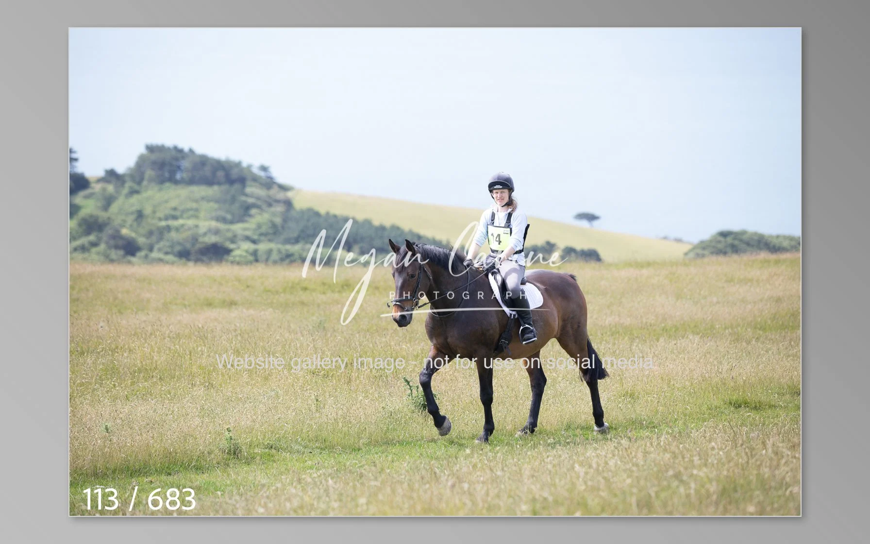 Abbotsbury-113.jpg