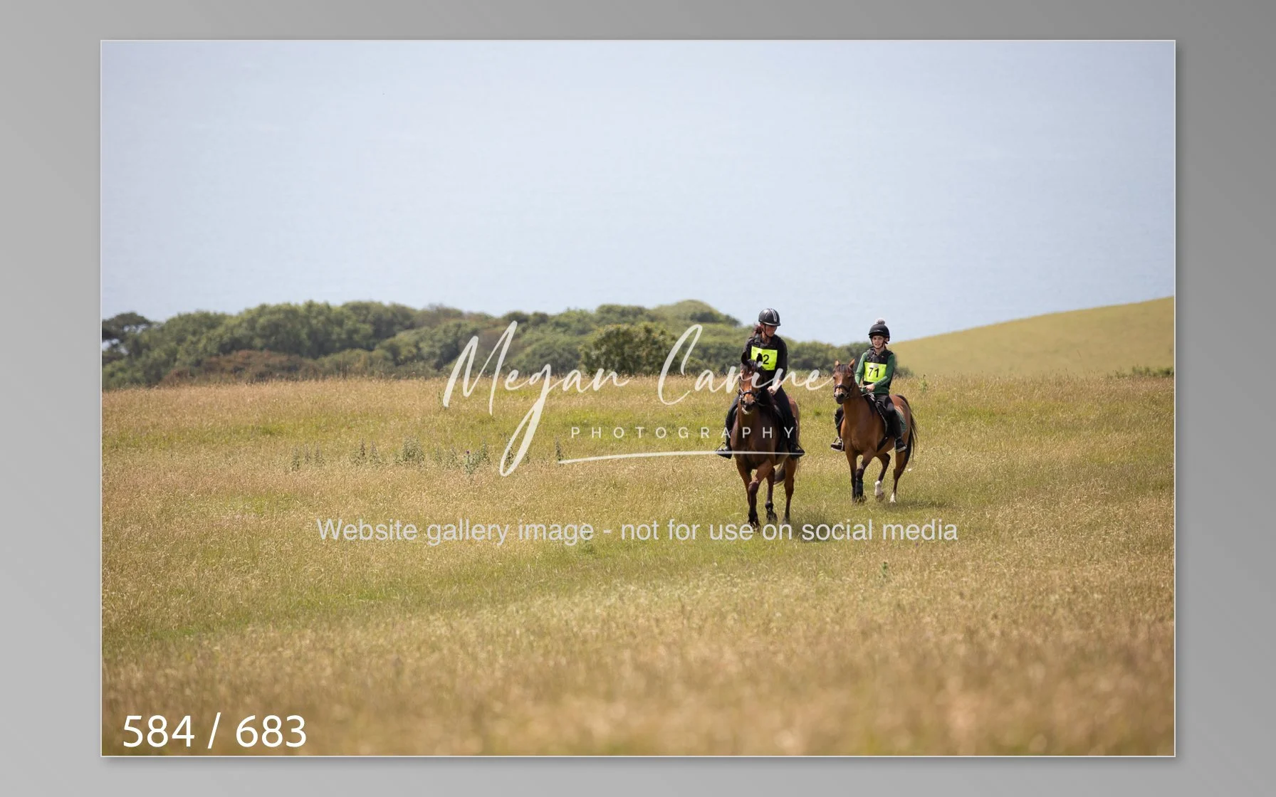 Abbotsbury-584.jpg