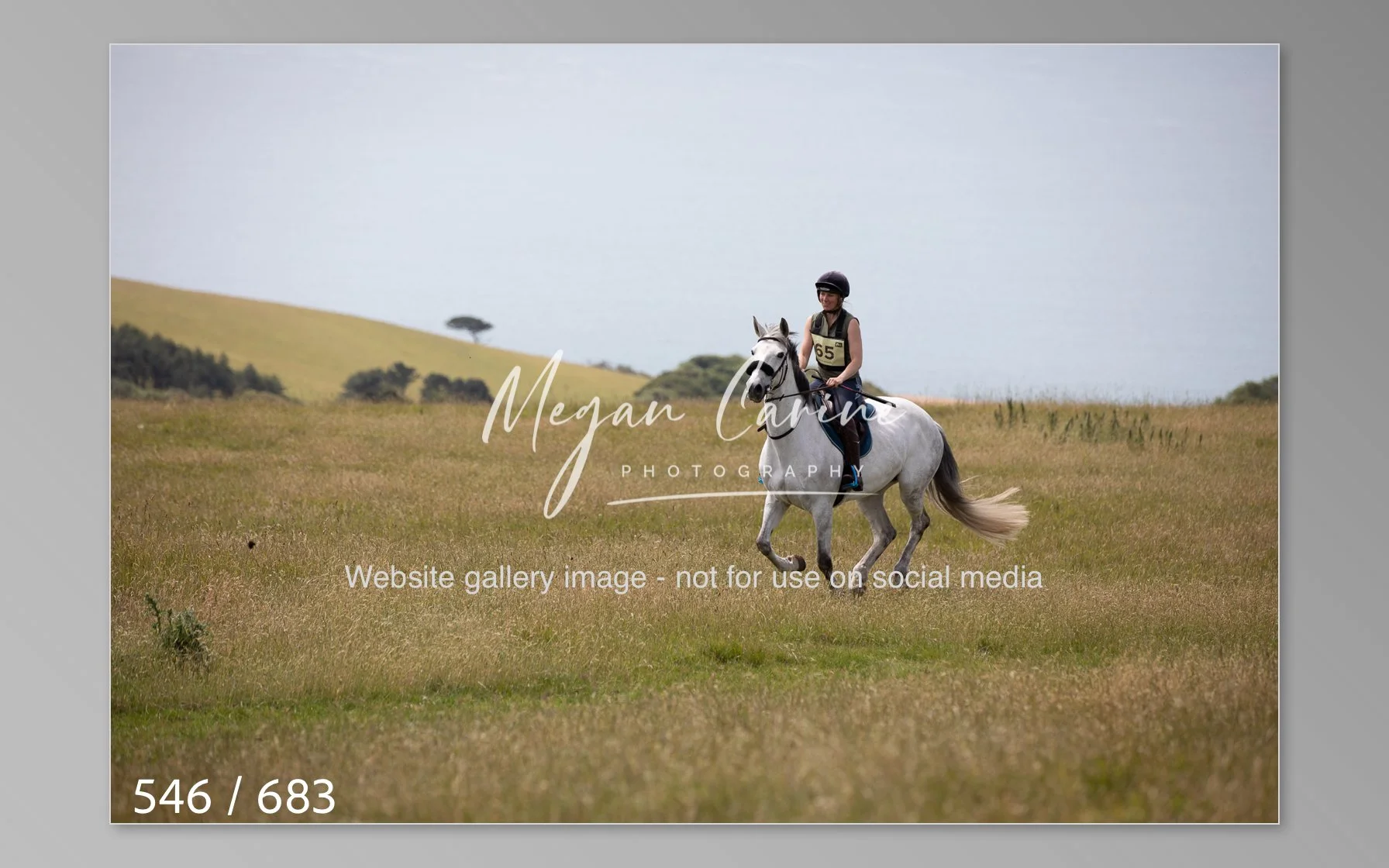 Abbotsbury-546.jpg