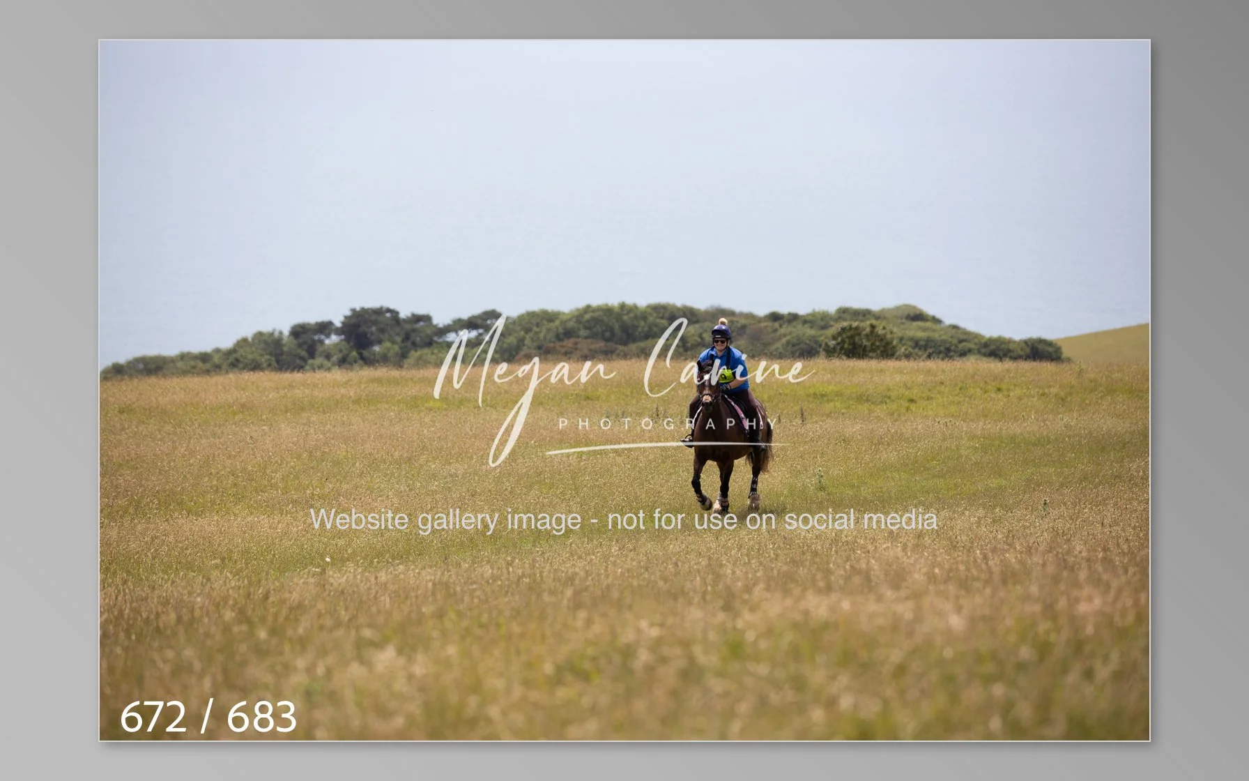 Abbotsbury-672.jpg