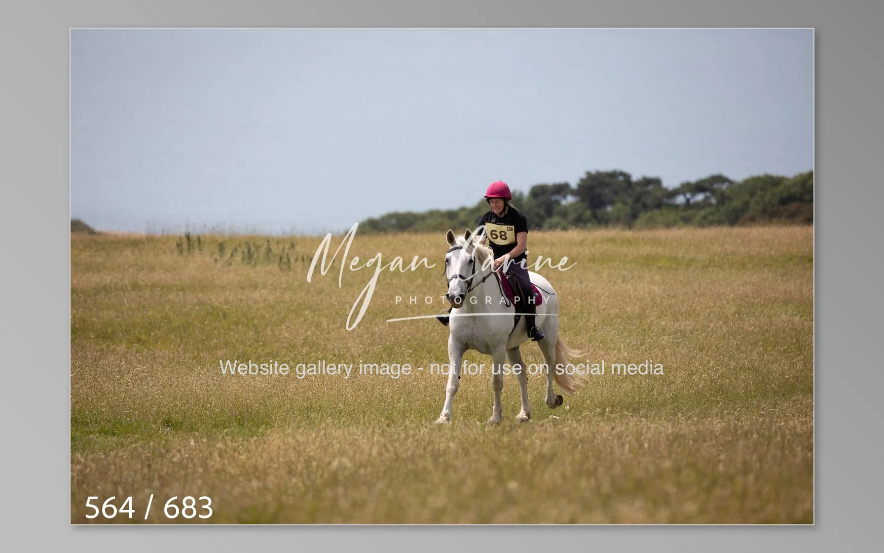 Abbotsbury-564.jpg