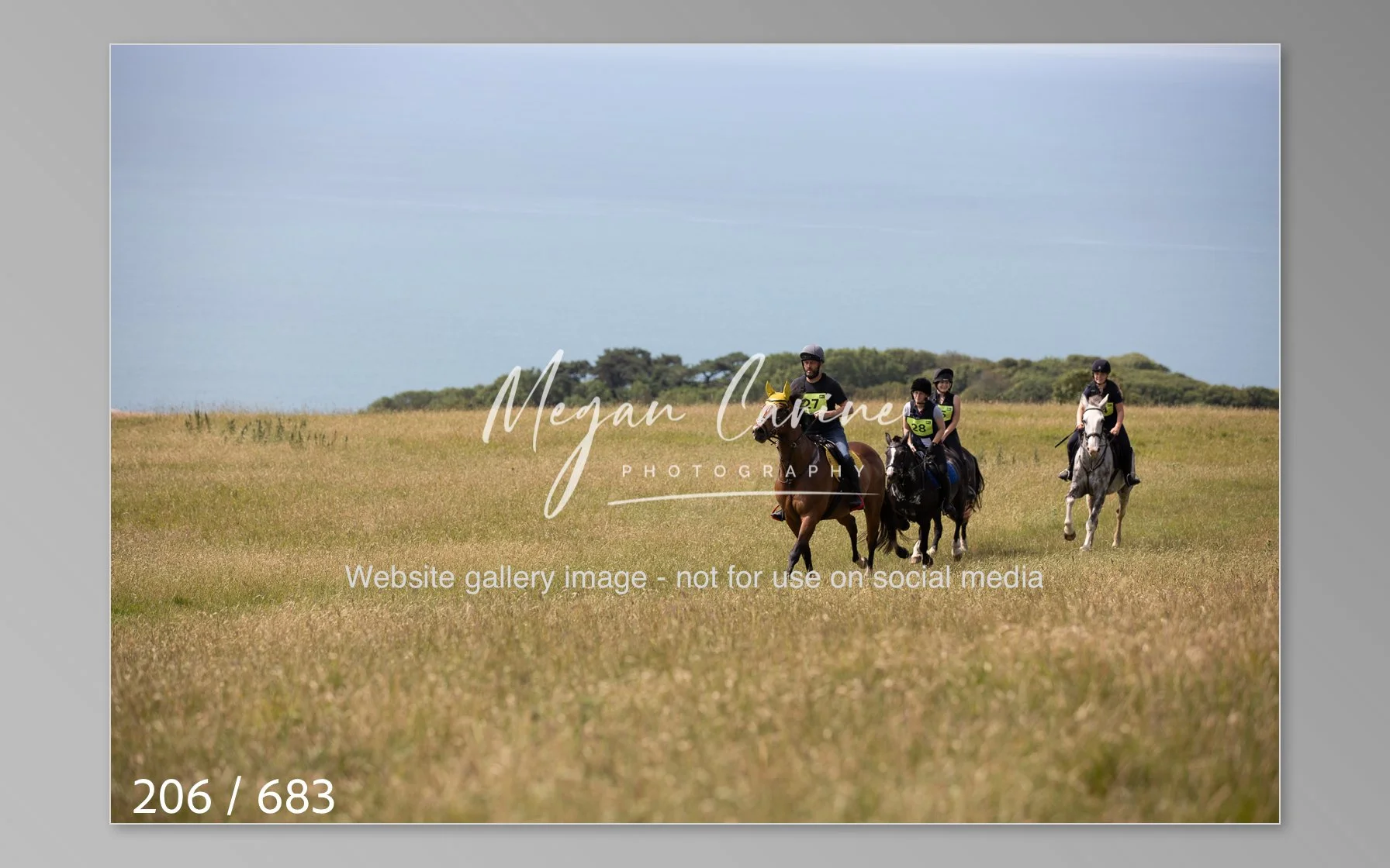 Abbotsbury-206.jpg
