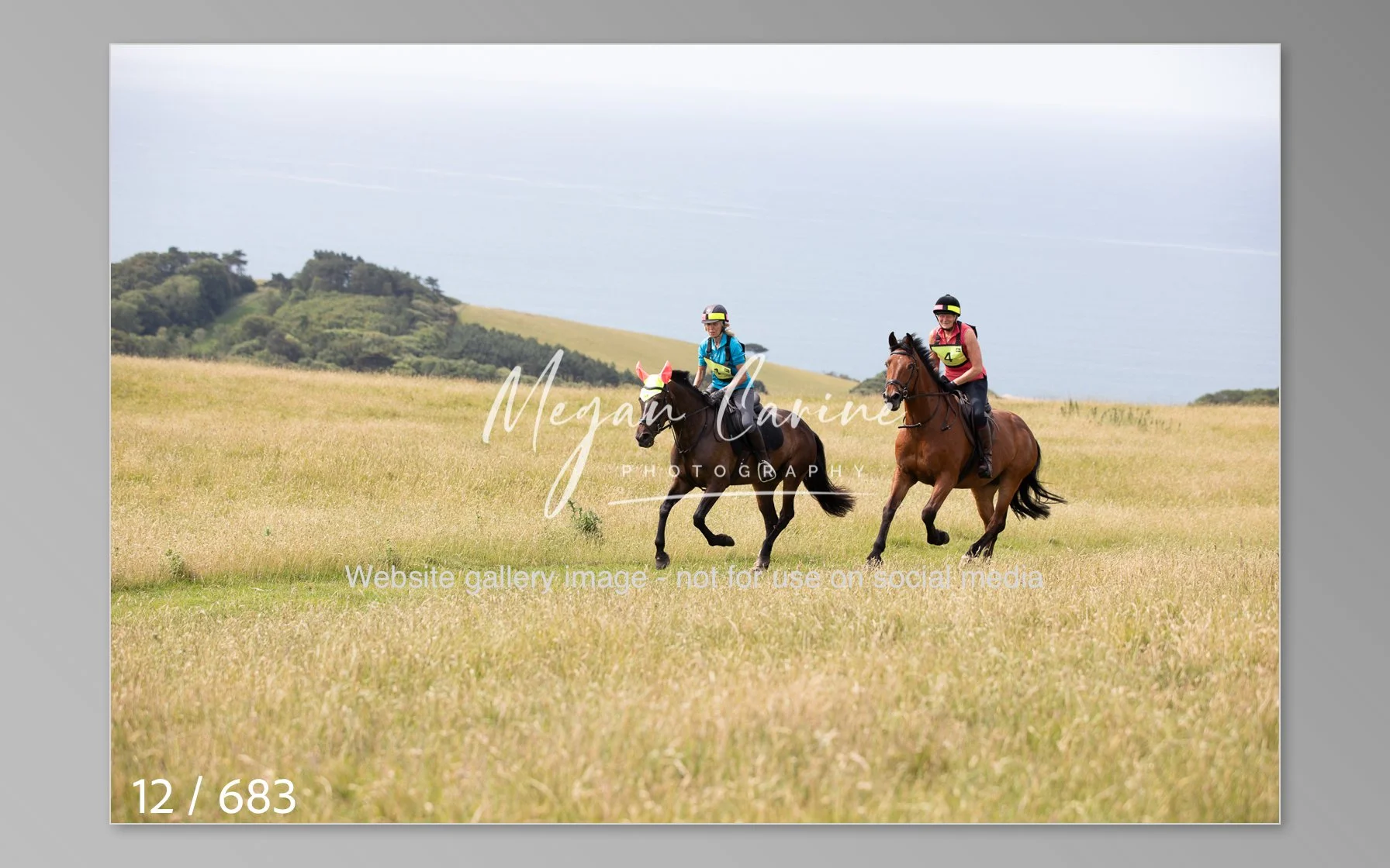 Abbotsbury-012.jpg