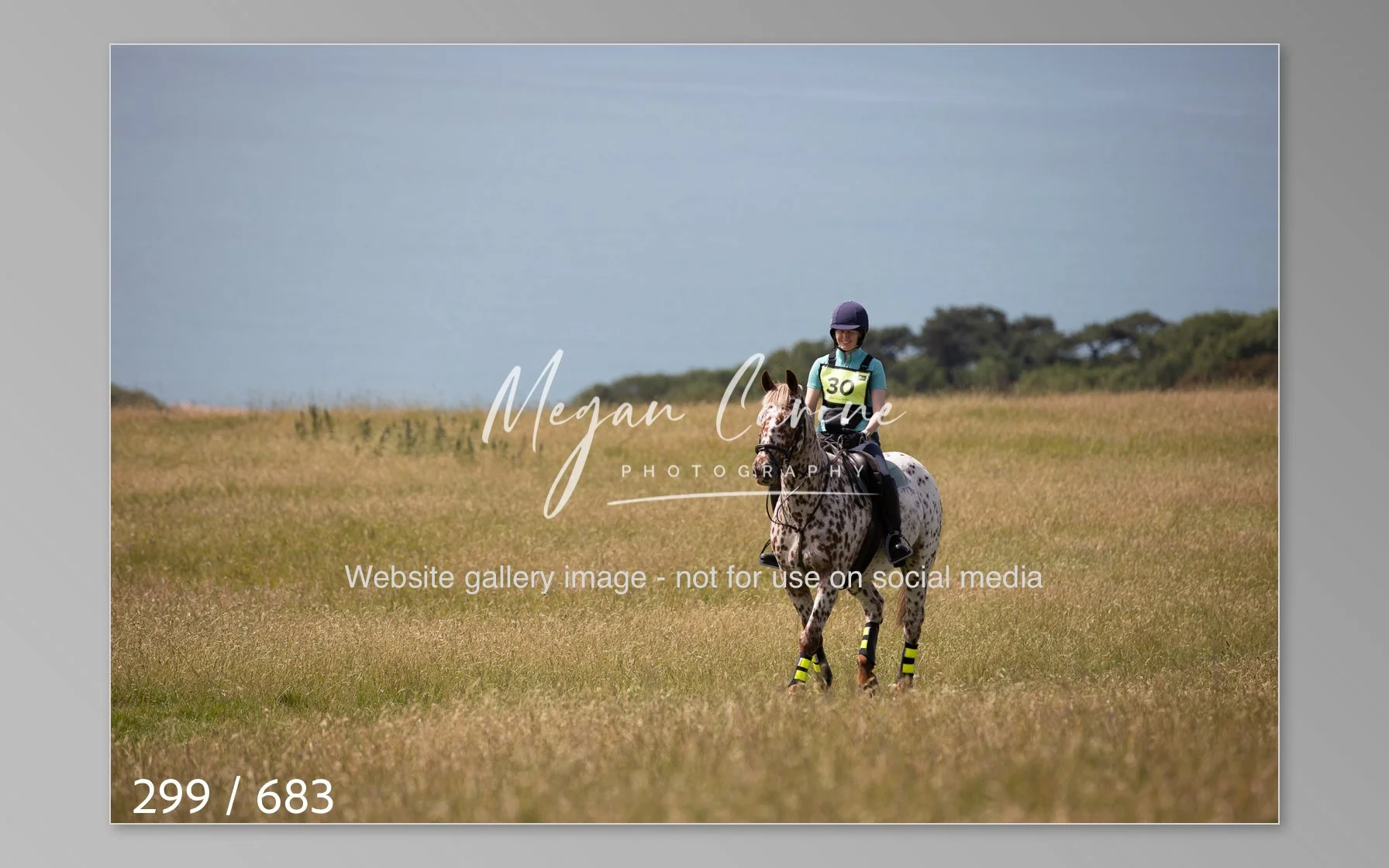 Abbotsbury-299.jpg