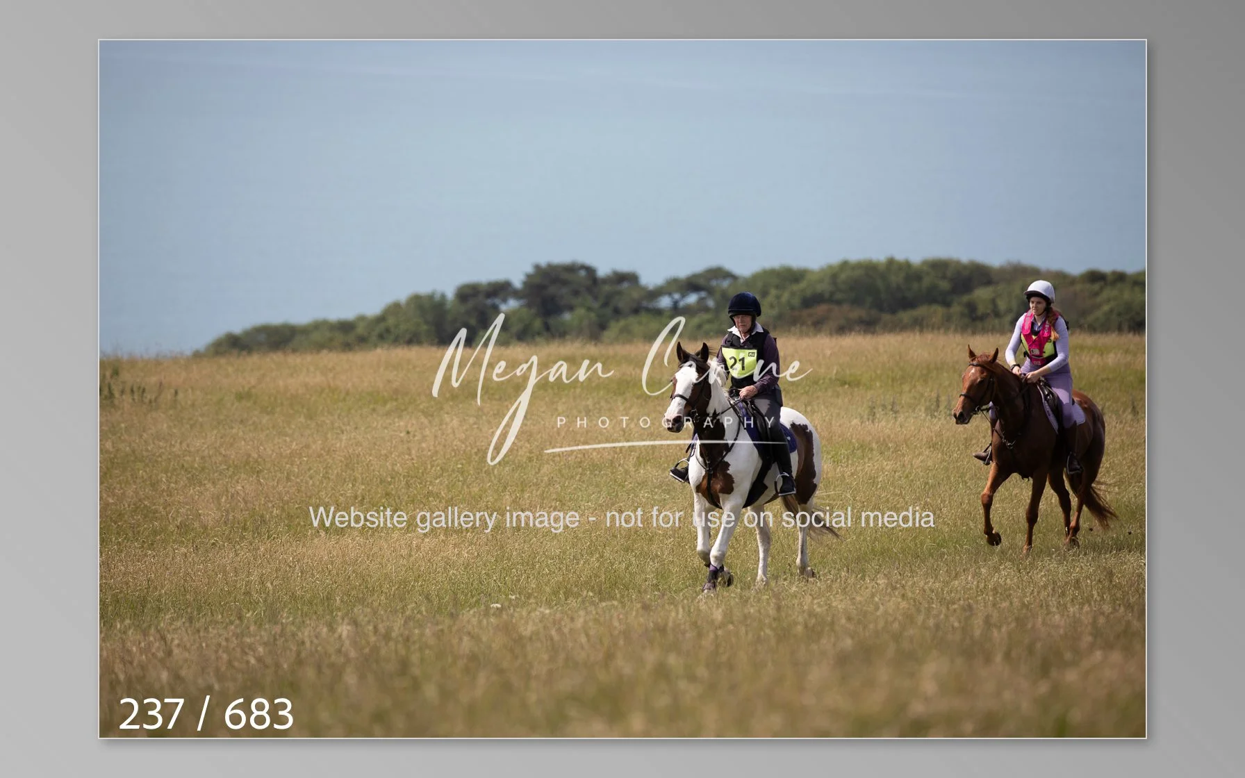 Abbotsbury-237.jpg