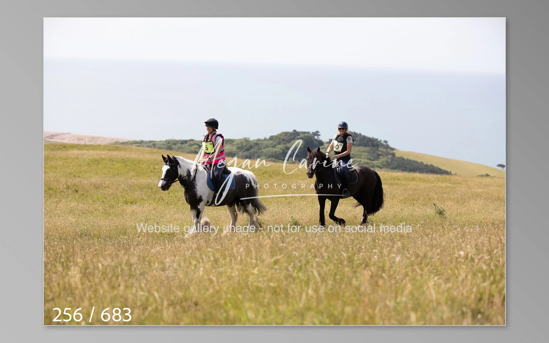 Abbotsbury-256.jpg