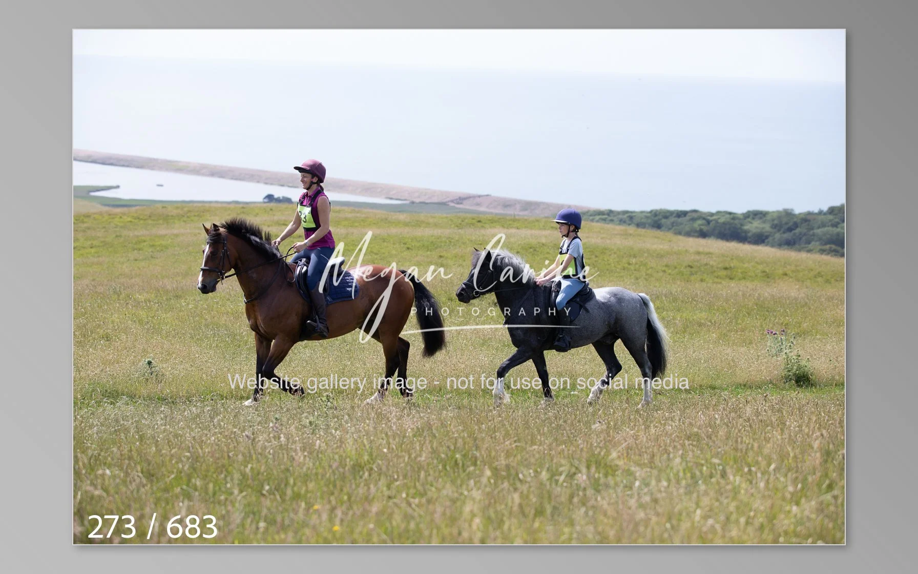Abbotsbury-273.jpg