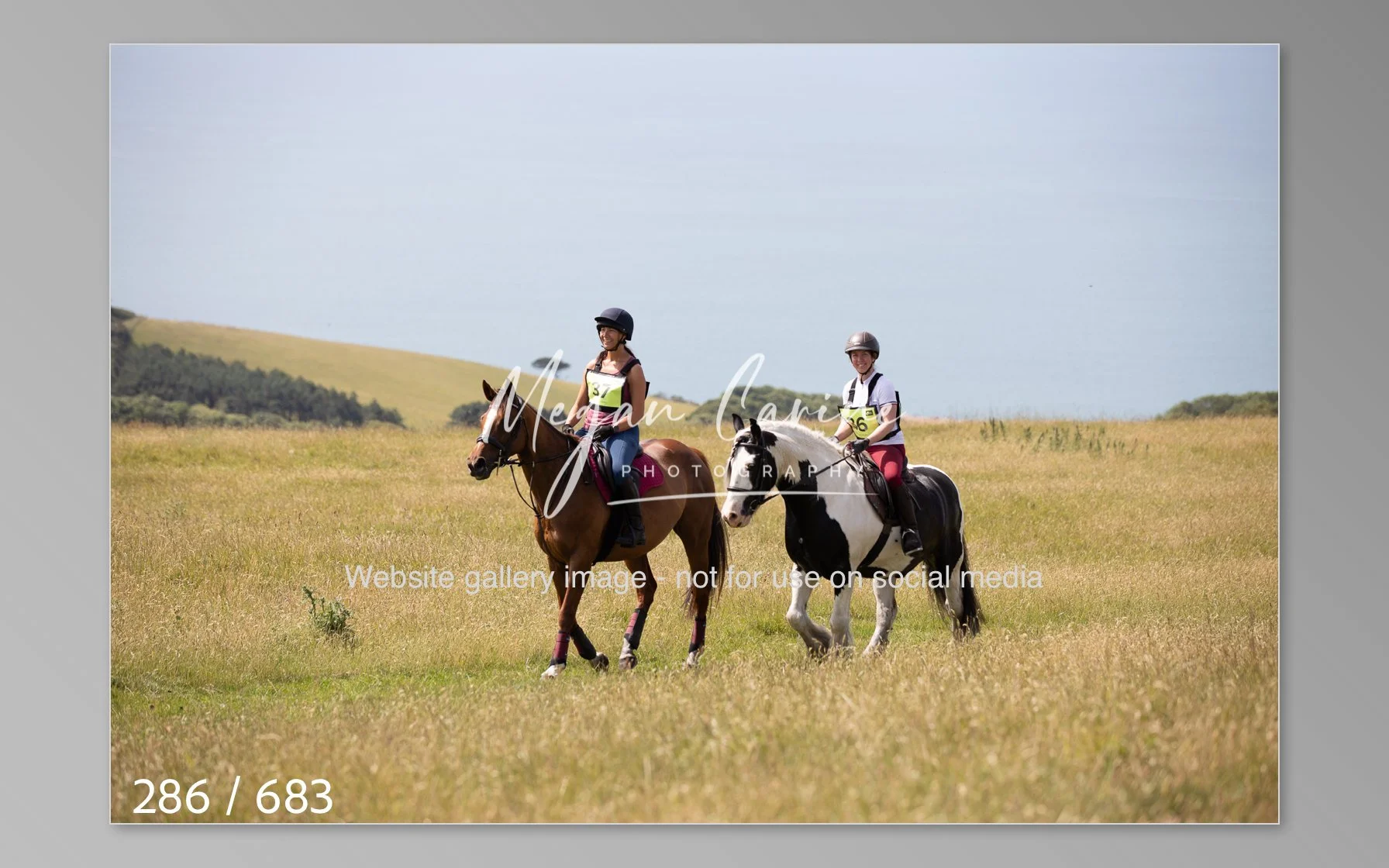 Abbotsbury-286.jpg