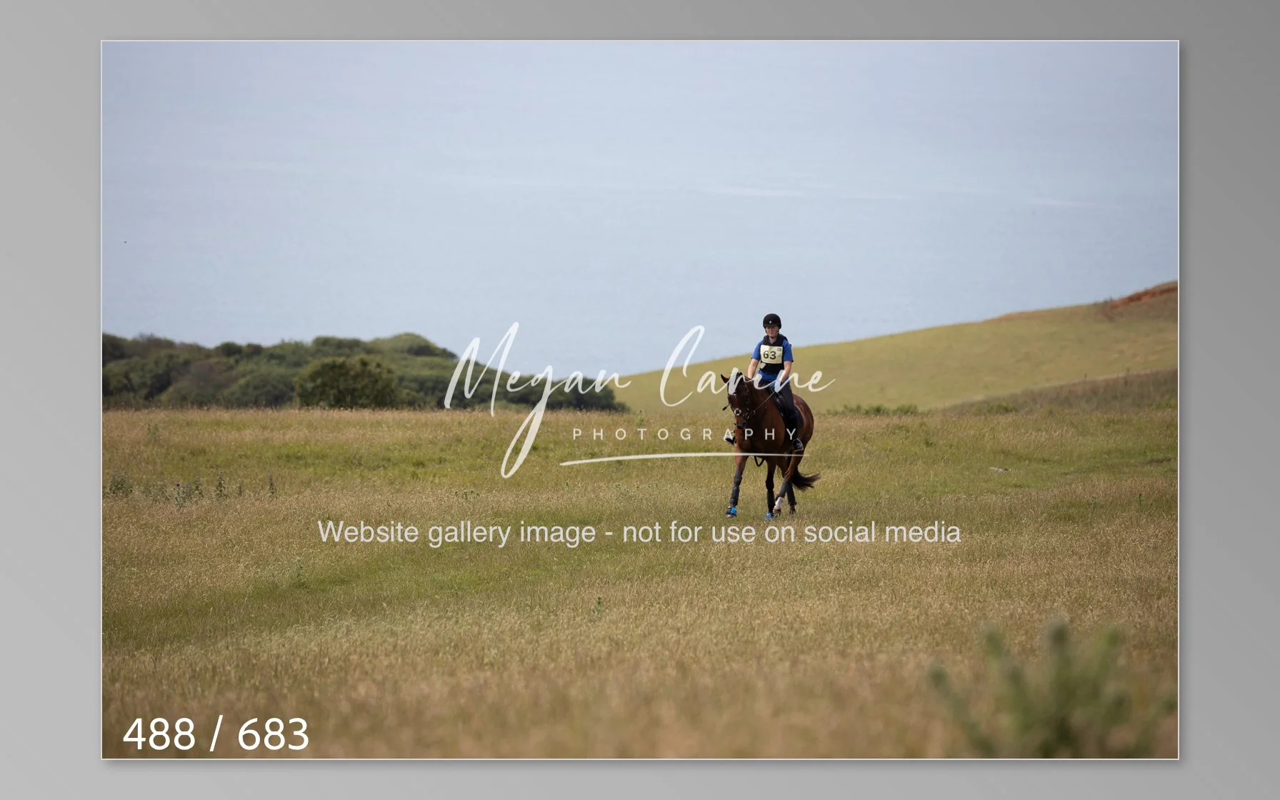 Abbotsbury-488.jpg