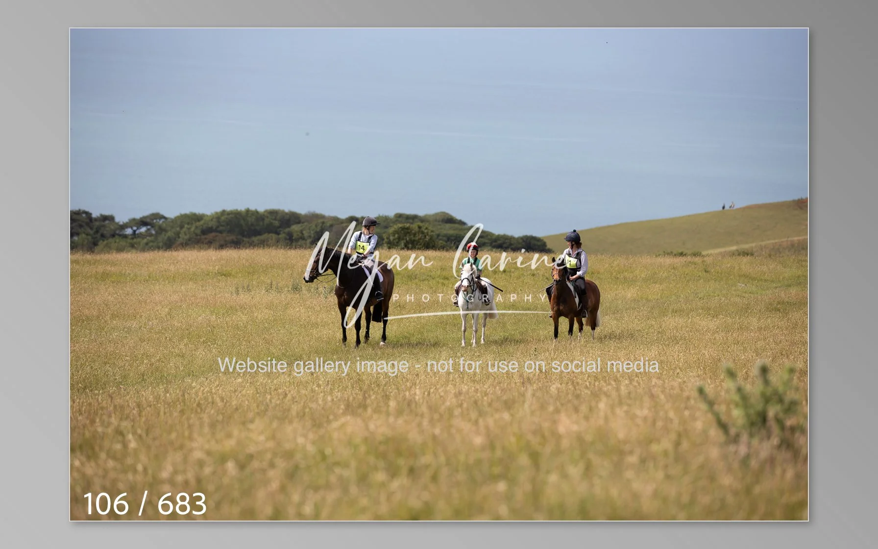 Abbotsbury-106.jpg