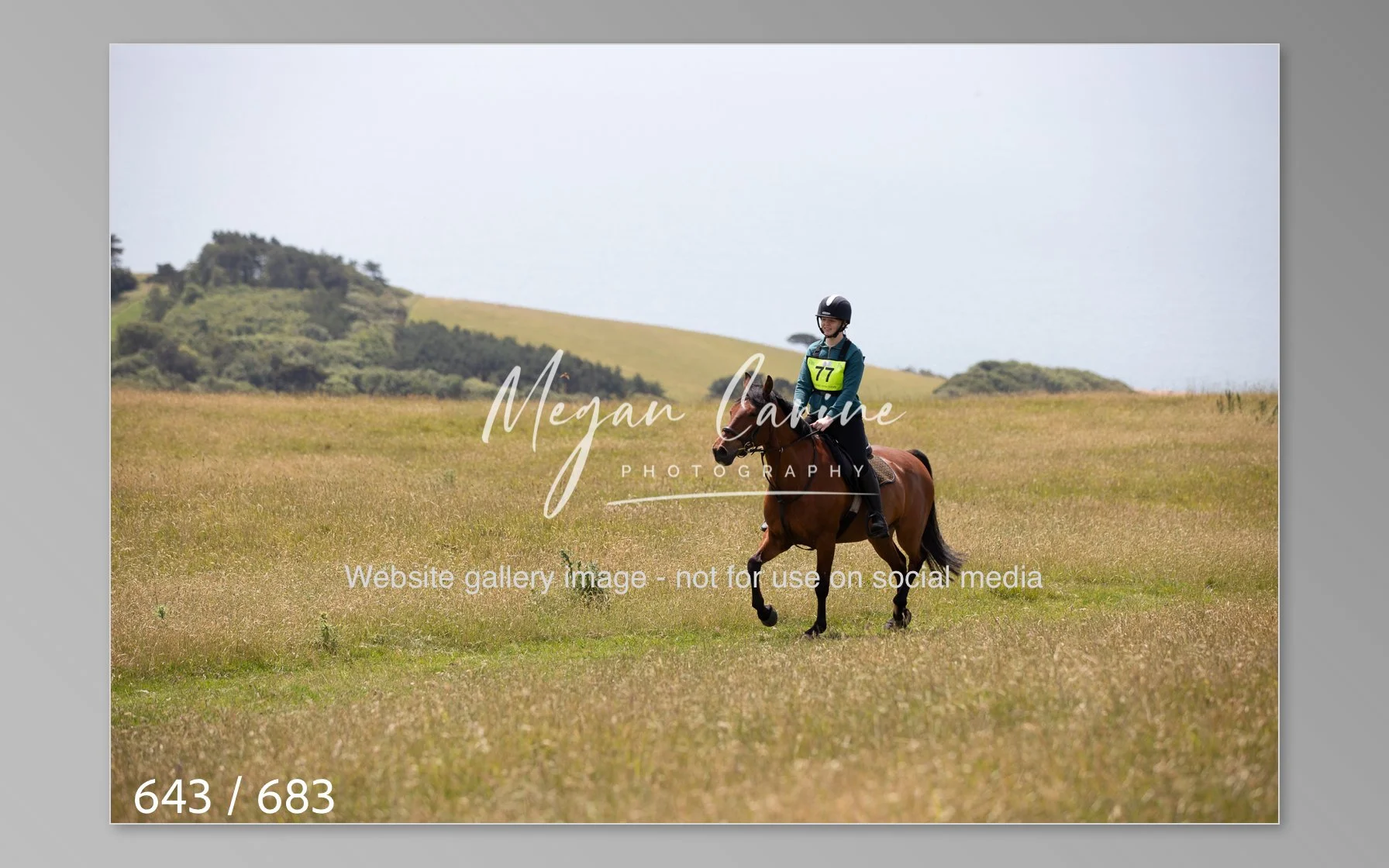 Abbotsbury-643.jpg