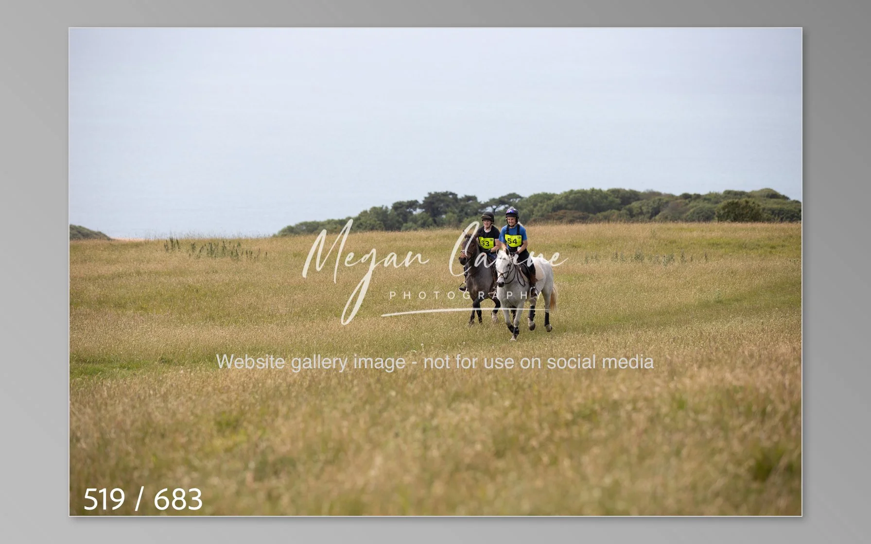 Abbotsbury-519.jpg