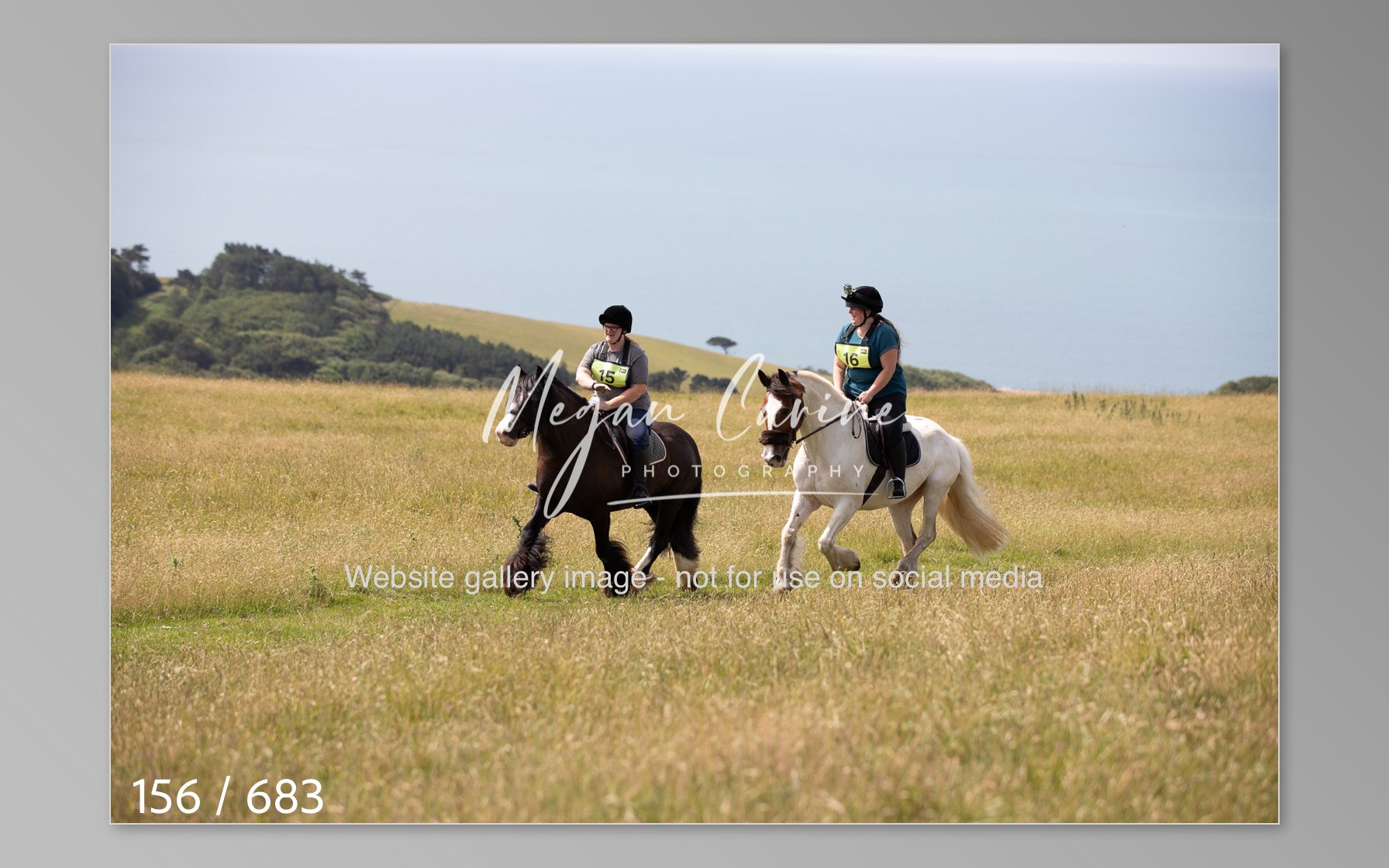 Abbotsbury-156.jpg