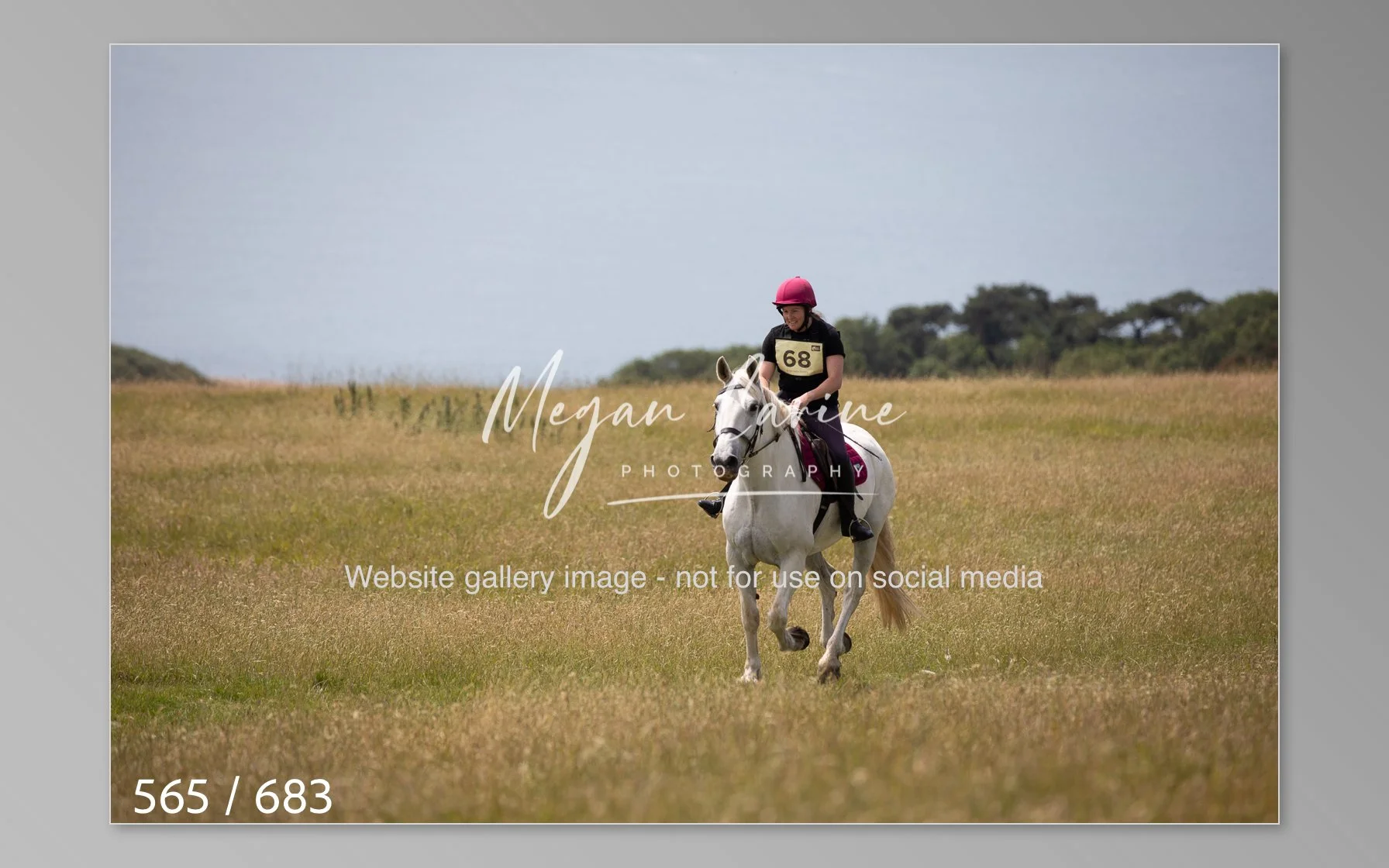 Abbotsbury-565.jpg