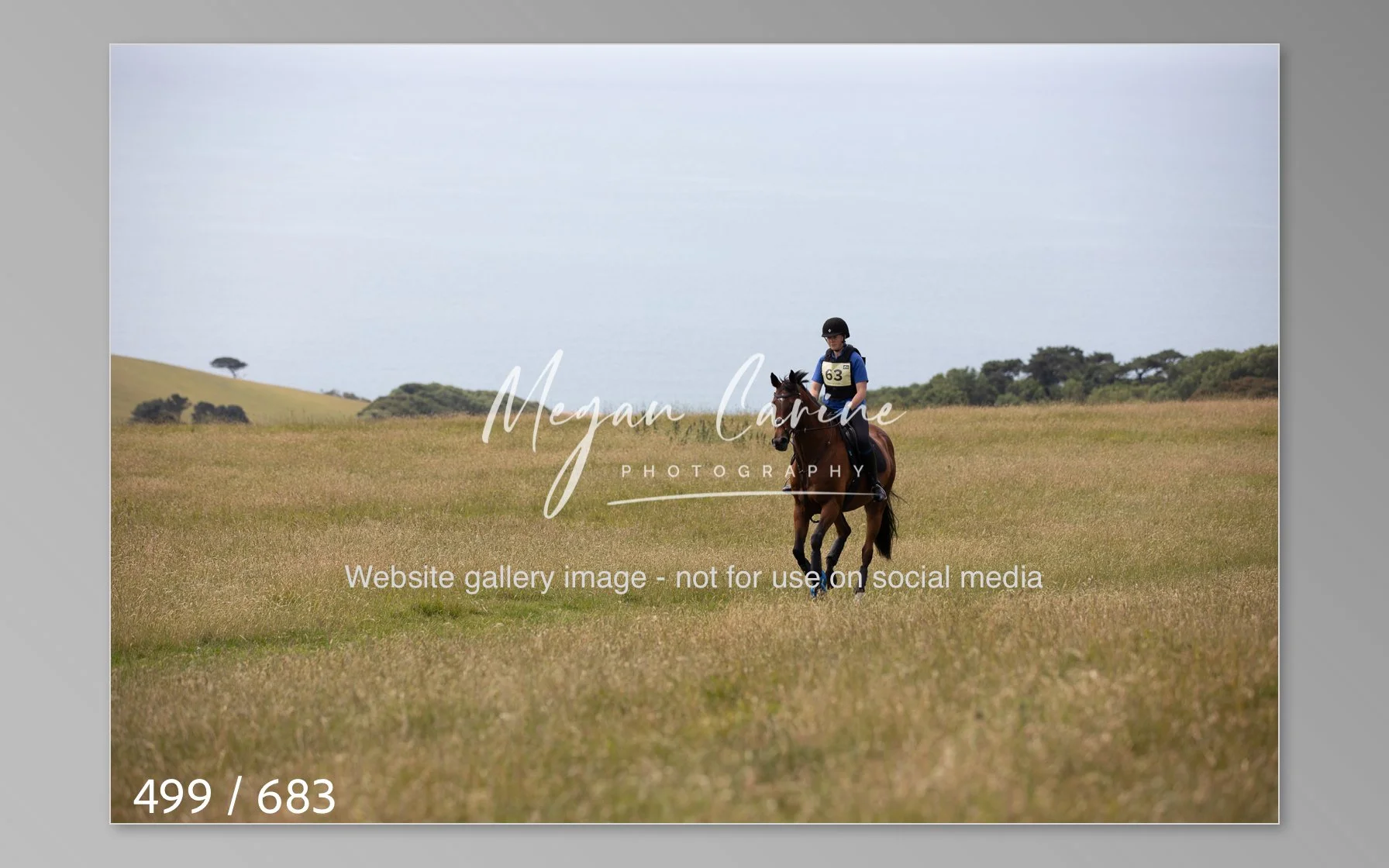 Abbotsbury-499.jpg