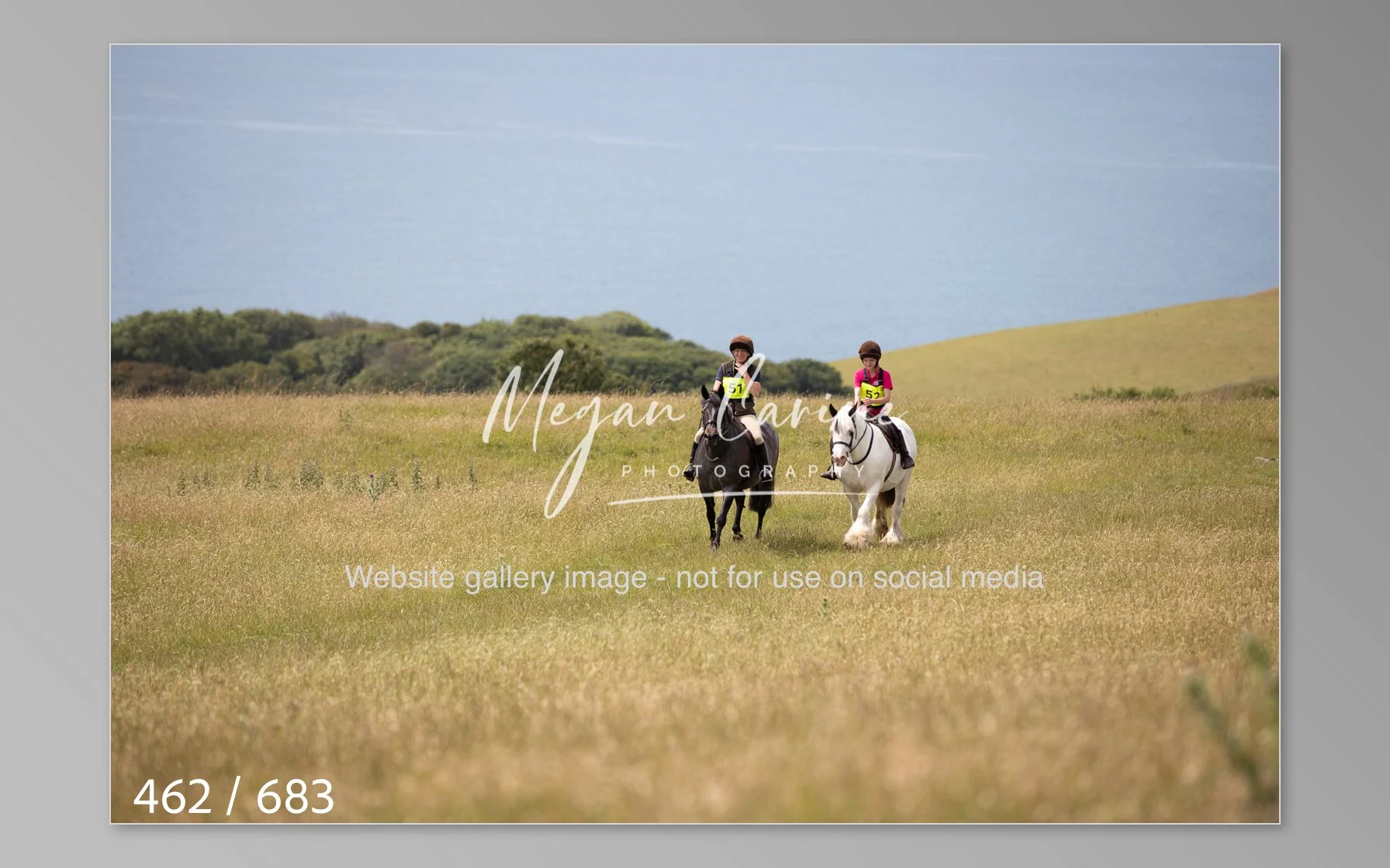 Abbotsbury-462.jpg