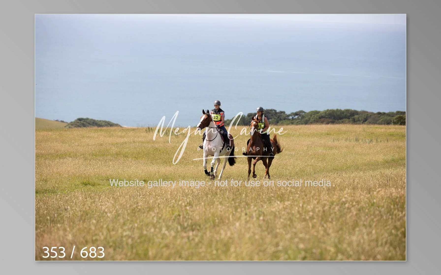 Abbotsbury-353.jpg