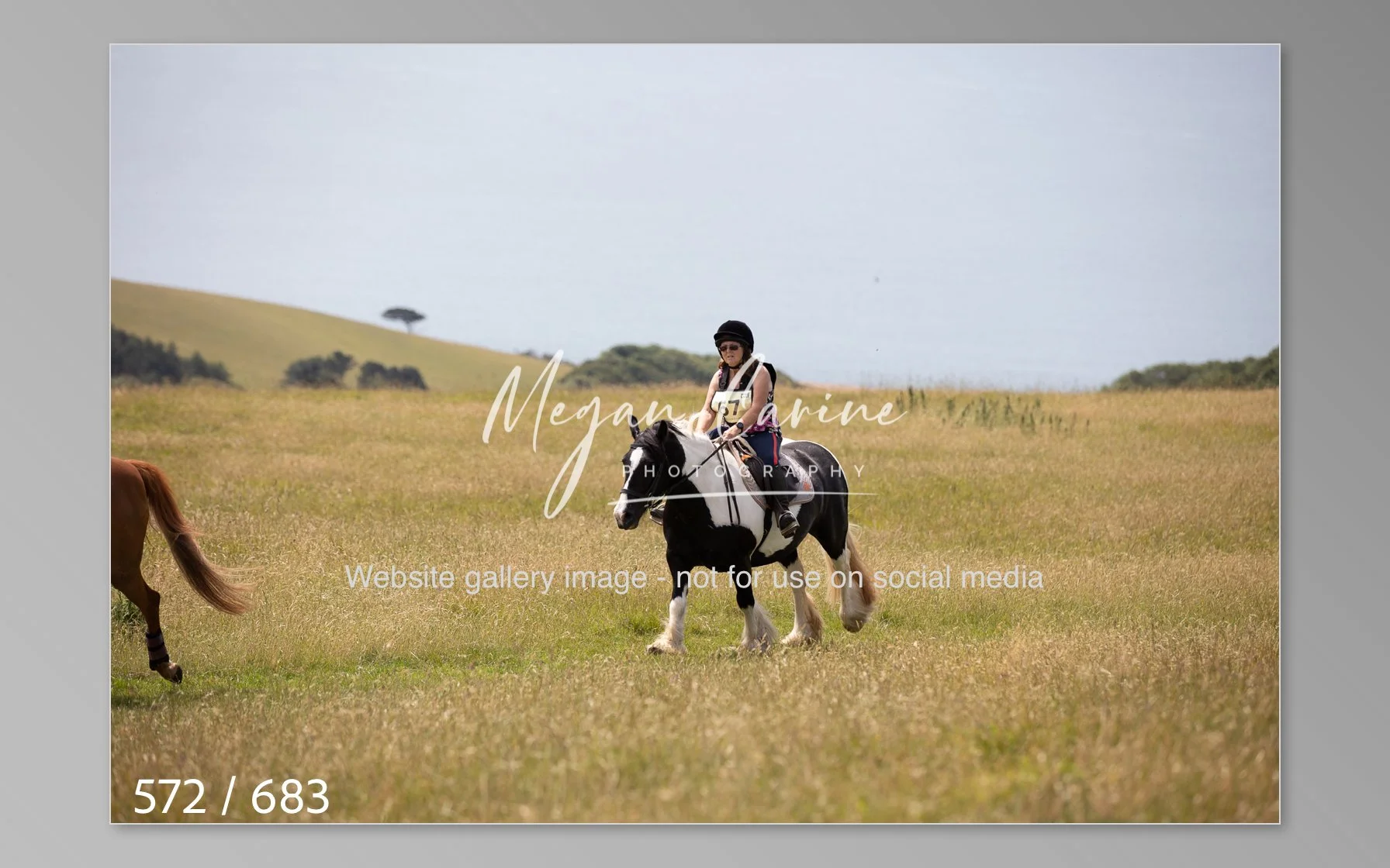 Abbotsbury-572.jpg