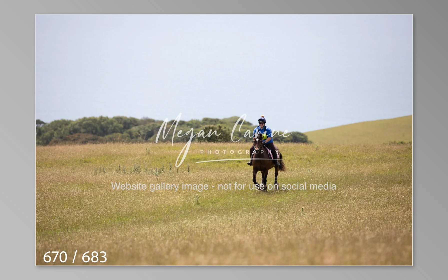 Abbotsbury-670.jpg
