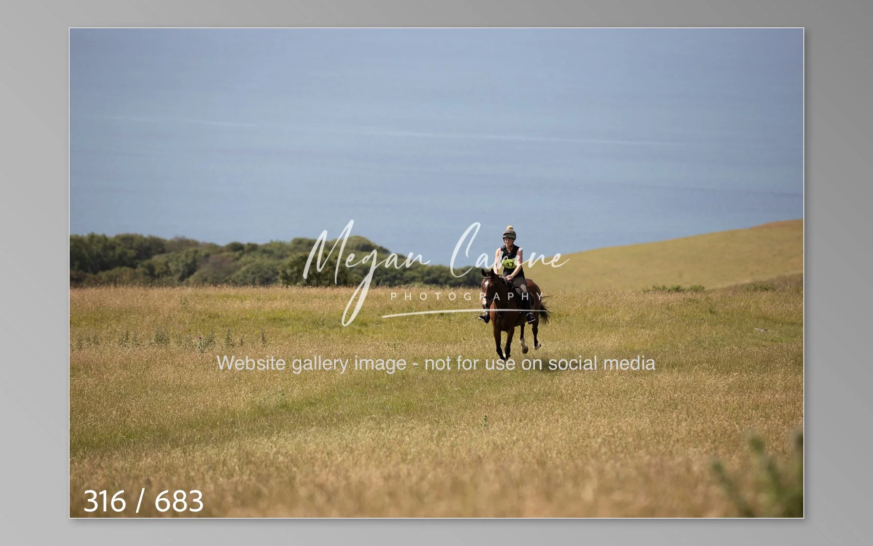Abbotsbury-316.jpg