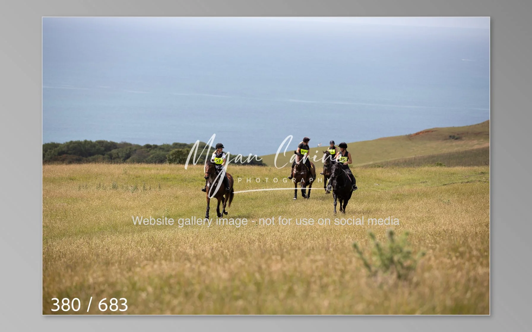Abbotsbury-380.jpg