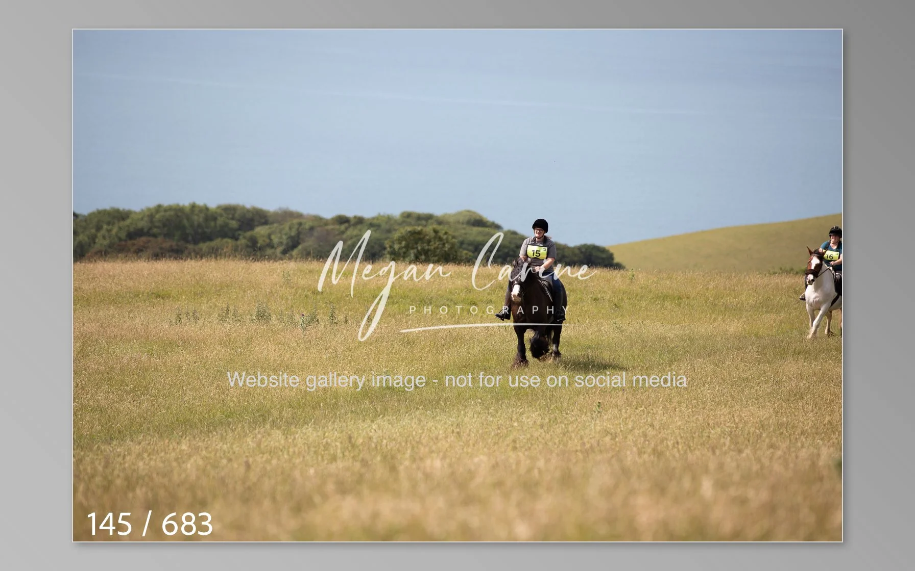 Abbotsbury-145.jpg