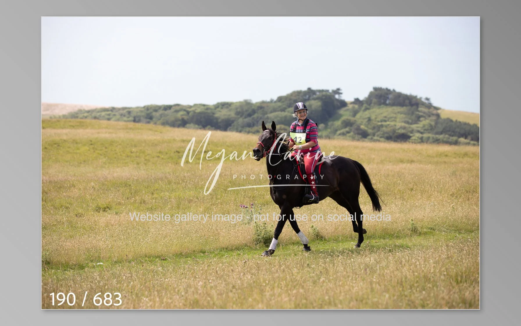 Abbotsbury-190.jpg