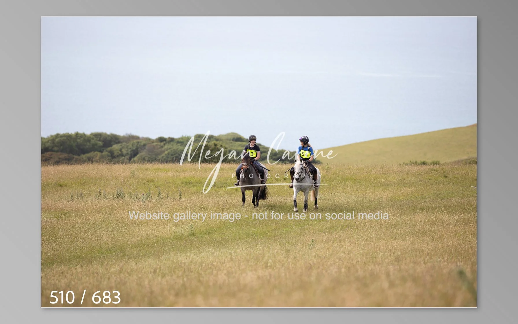 Abbotsbury-510.jpg