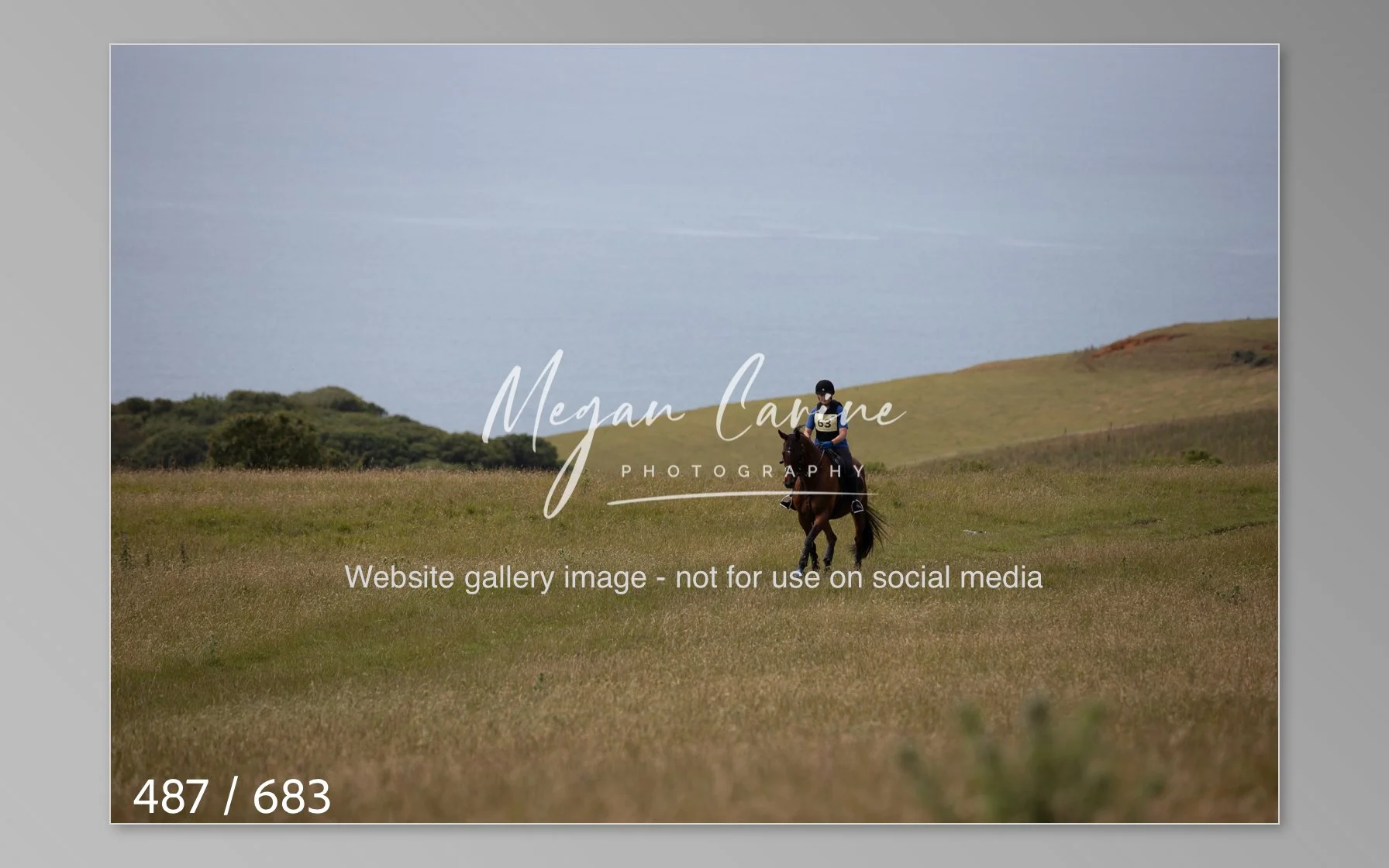 Abbotsbury-487.jpg