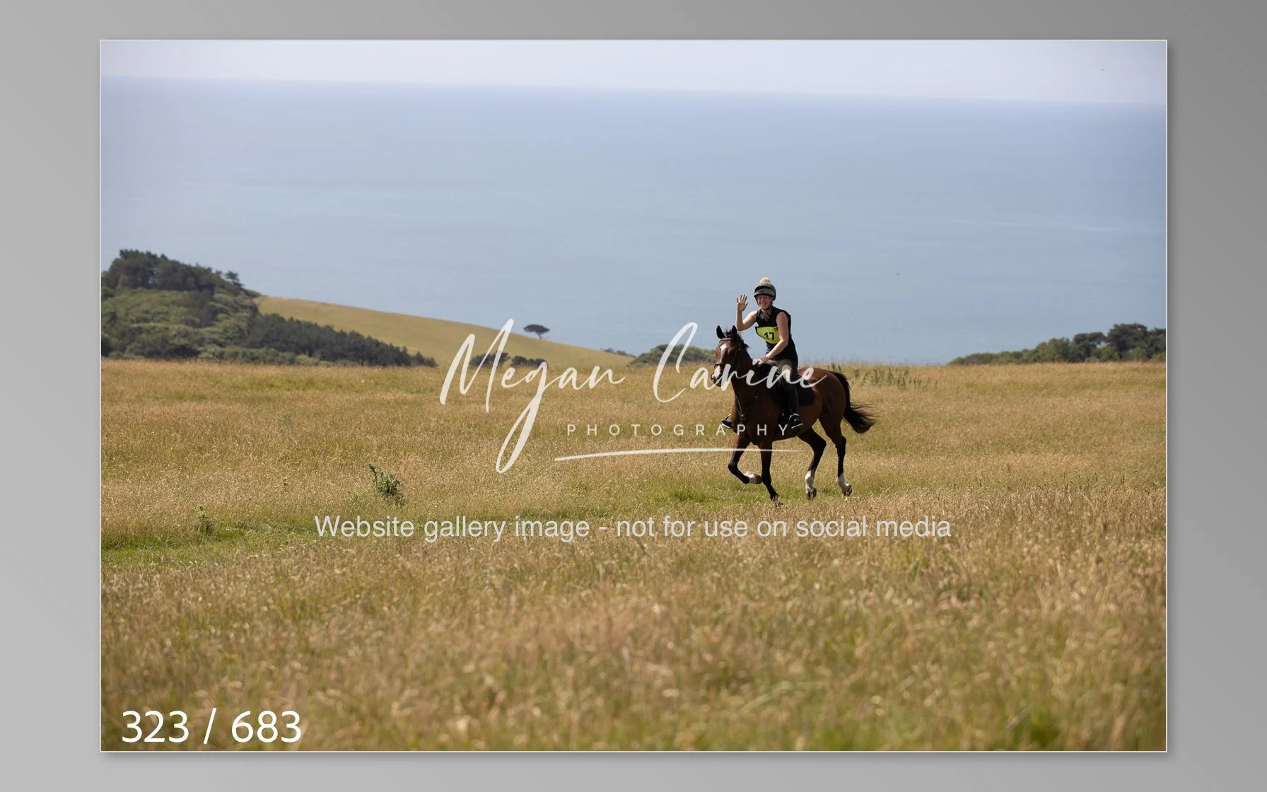 Abbotsbury-323.jpg