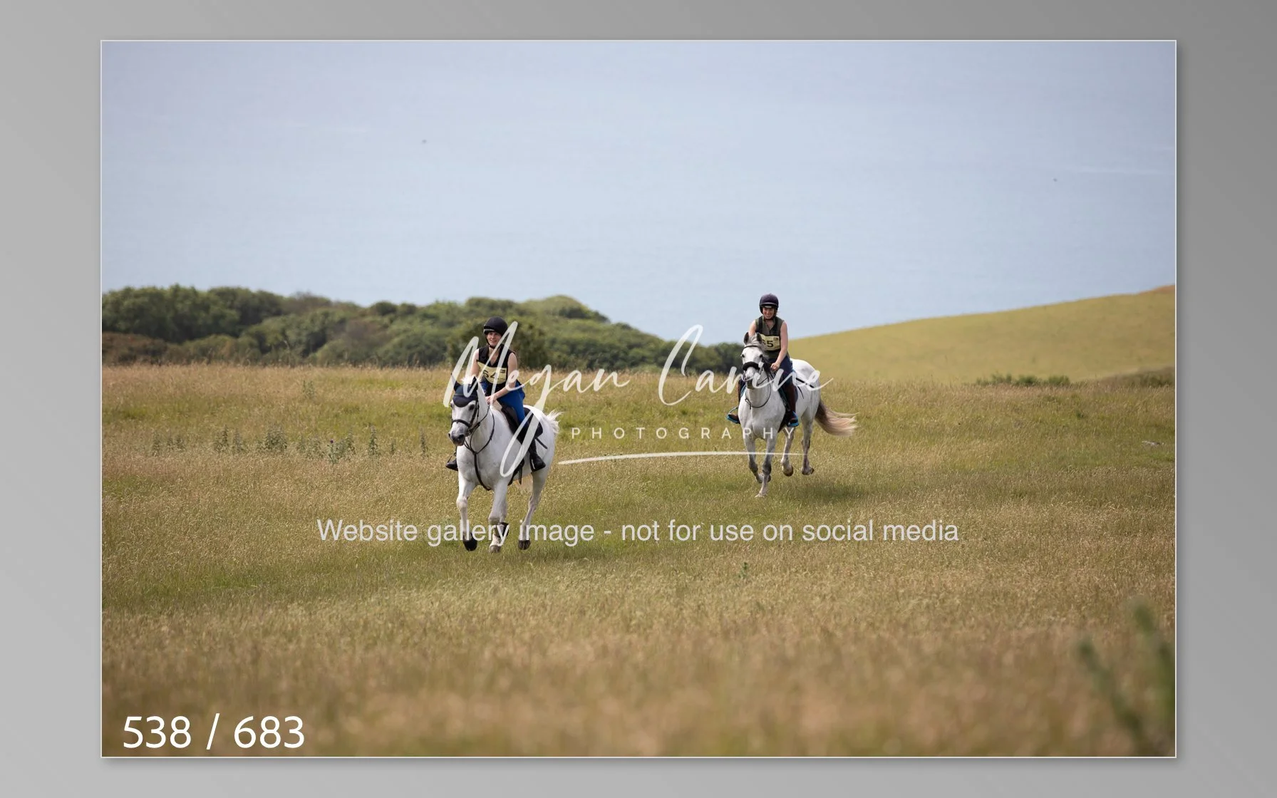 Abbotsbury-538.jpg