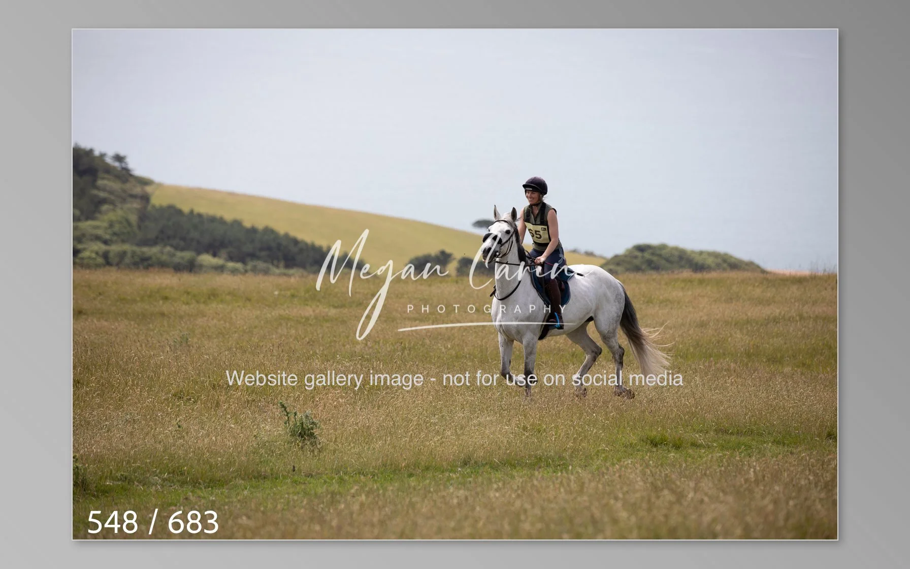 Abbotsbury-548.jpg