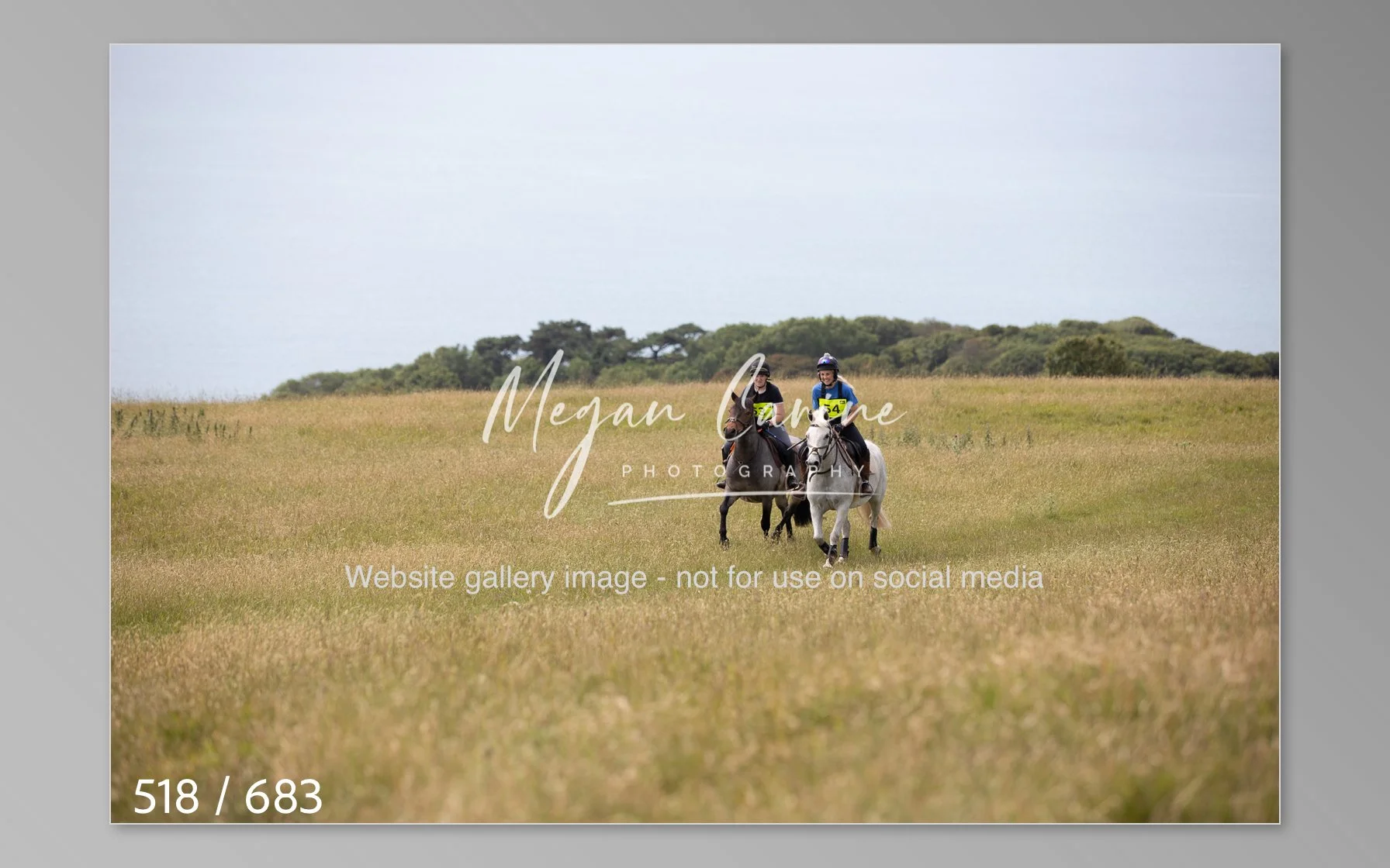 Abbotsbury-518.jpg