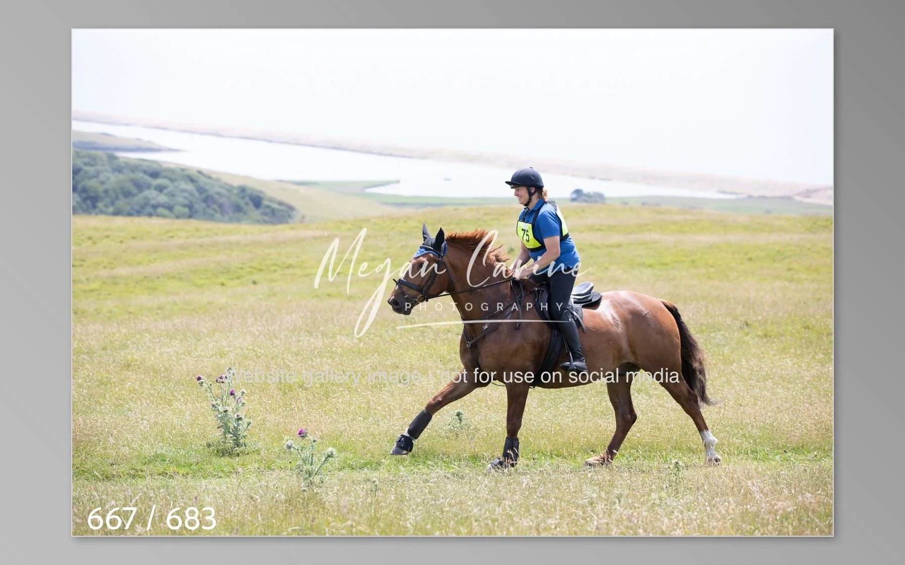 Abbotsbury-667.jpg