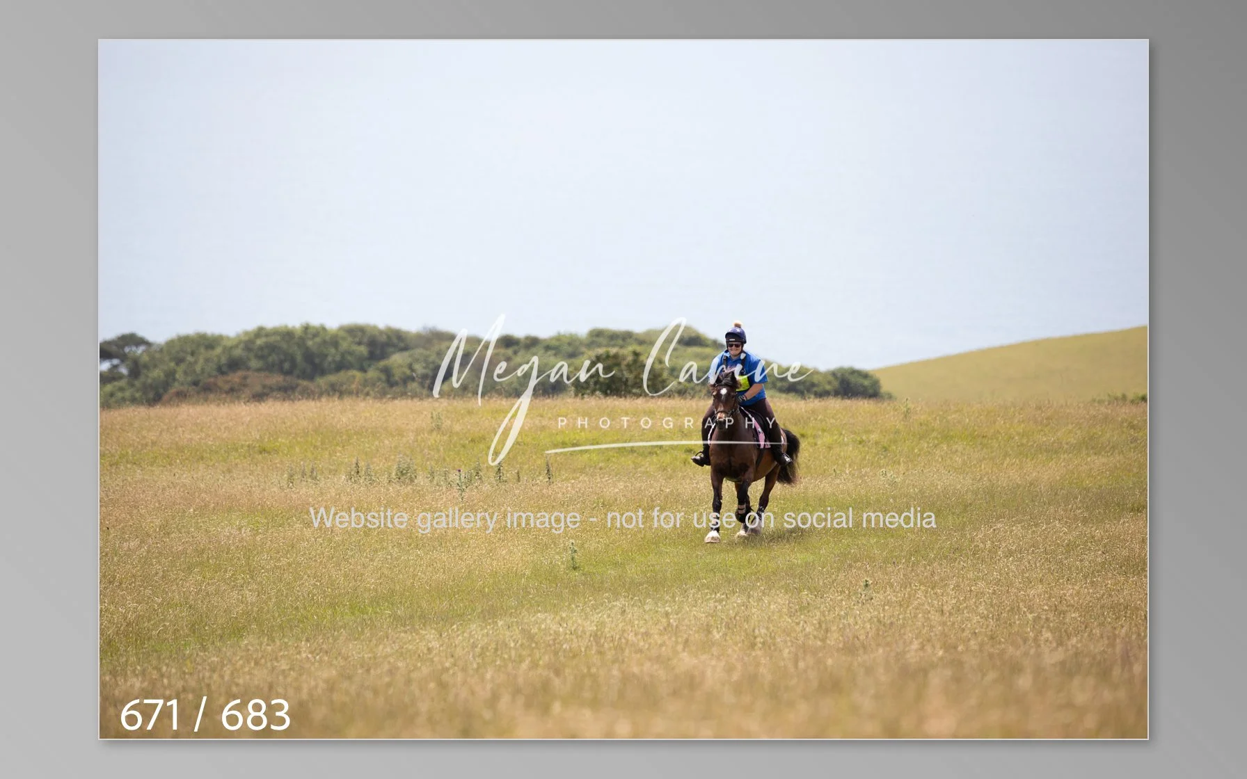 Abbotsbury-671.jpg