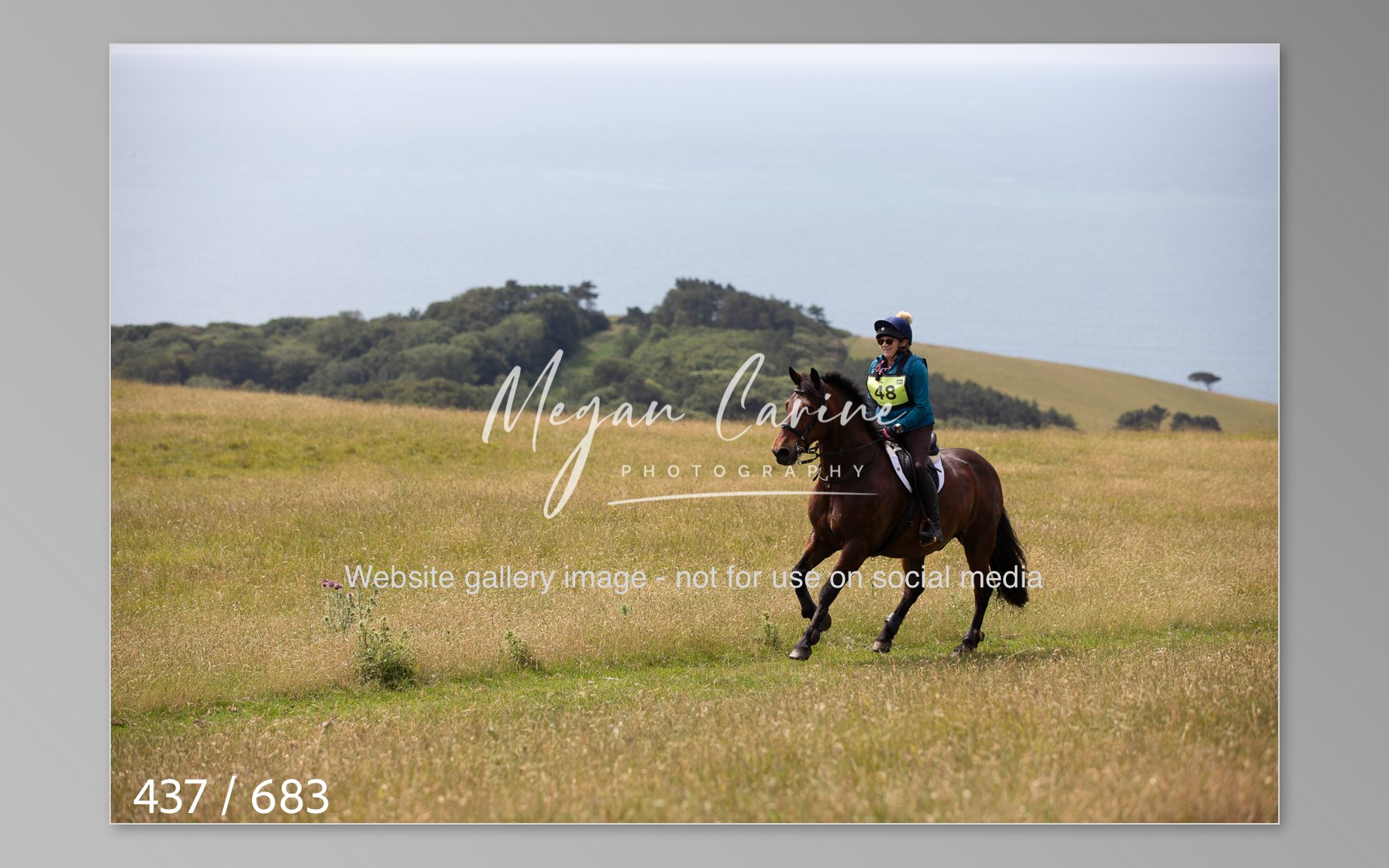 Abbotsbury-437.jpg