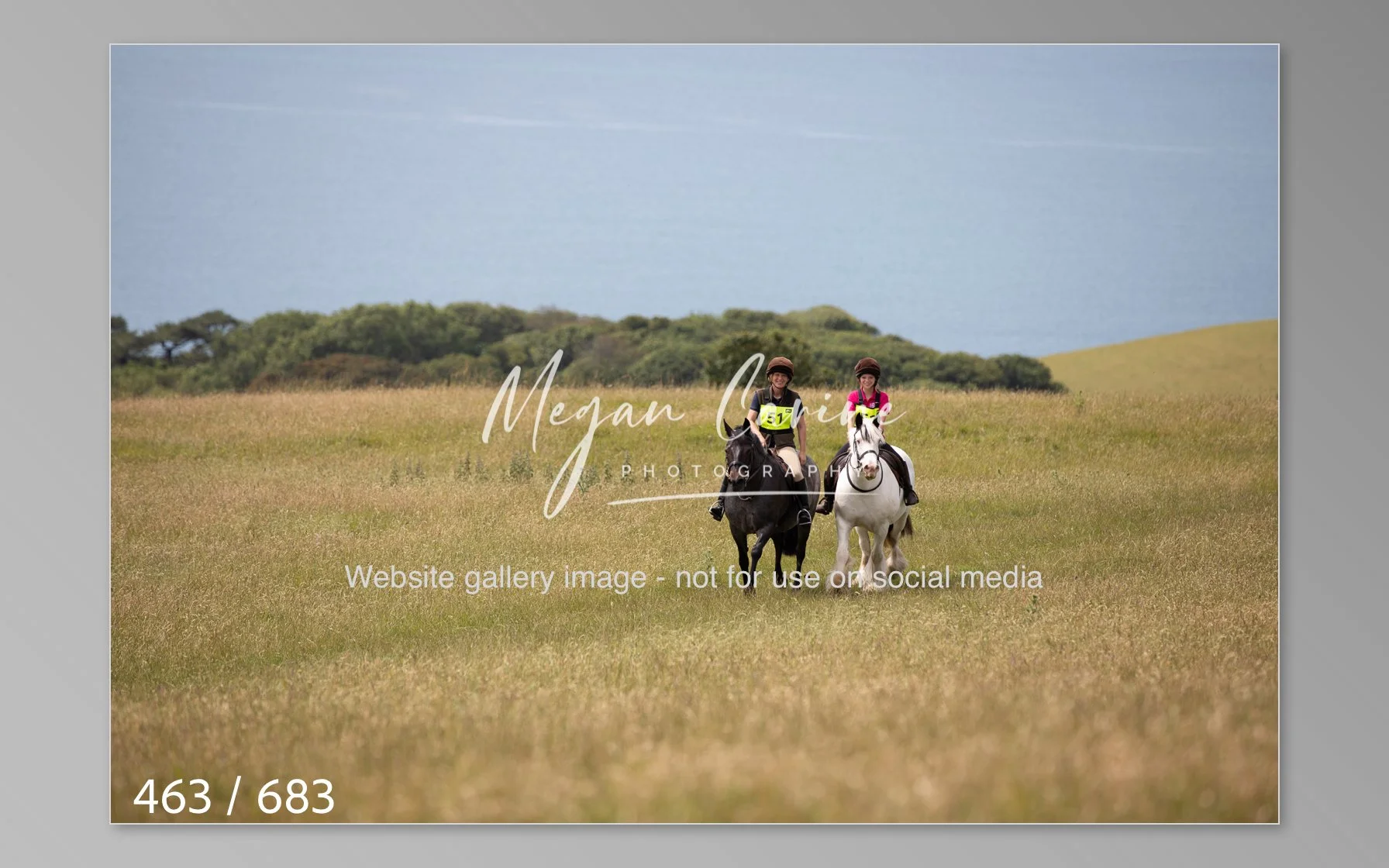 Abbotsbury-463.jpg