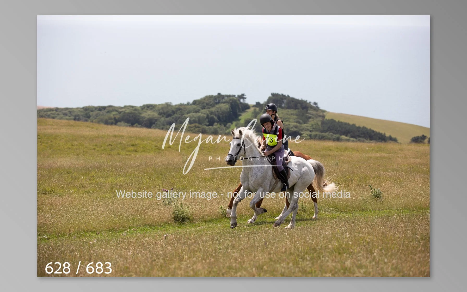 Abbotsbury-628.jpg