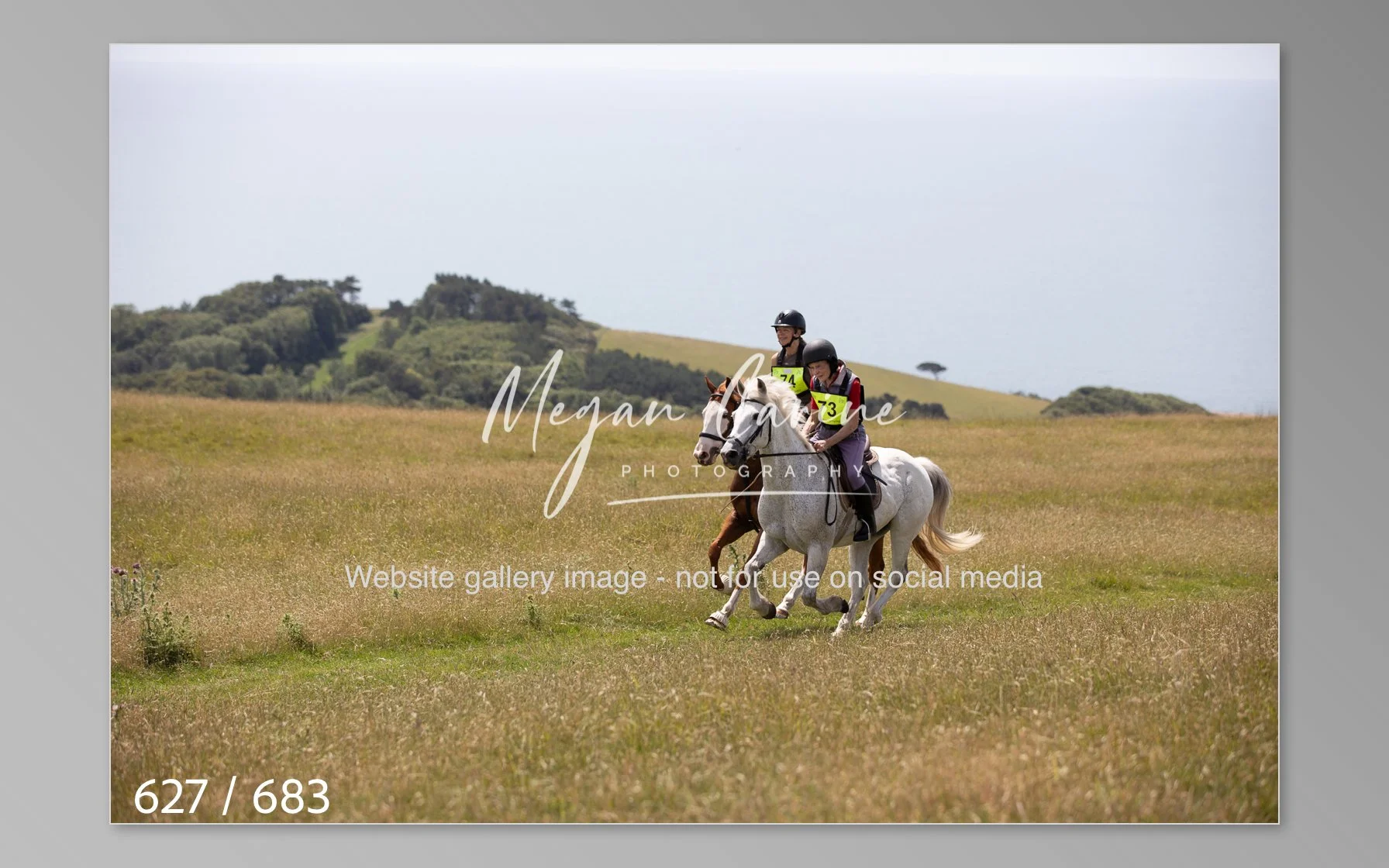 Abbotsbury-627.jpg