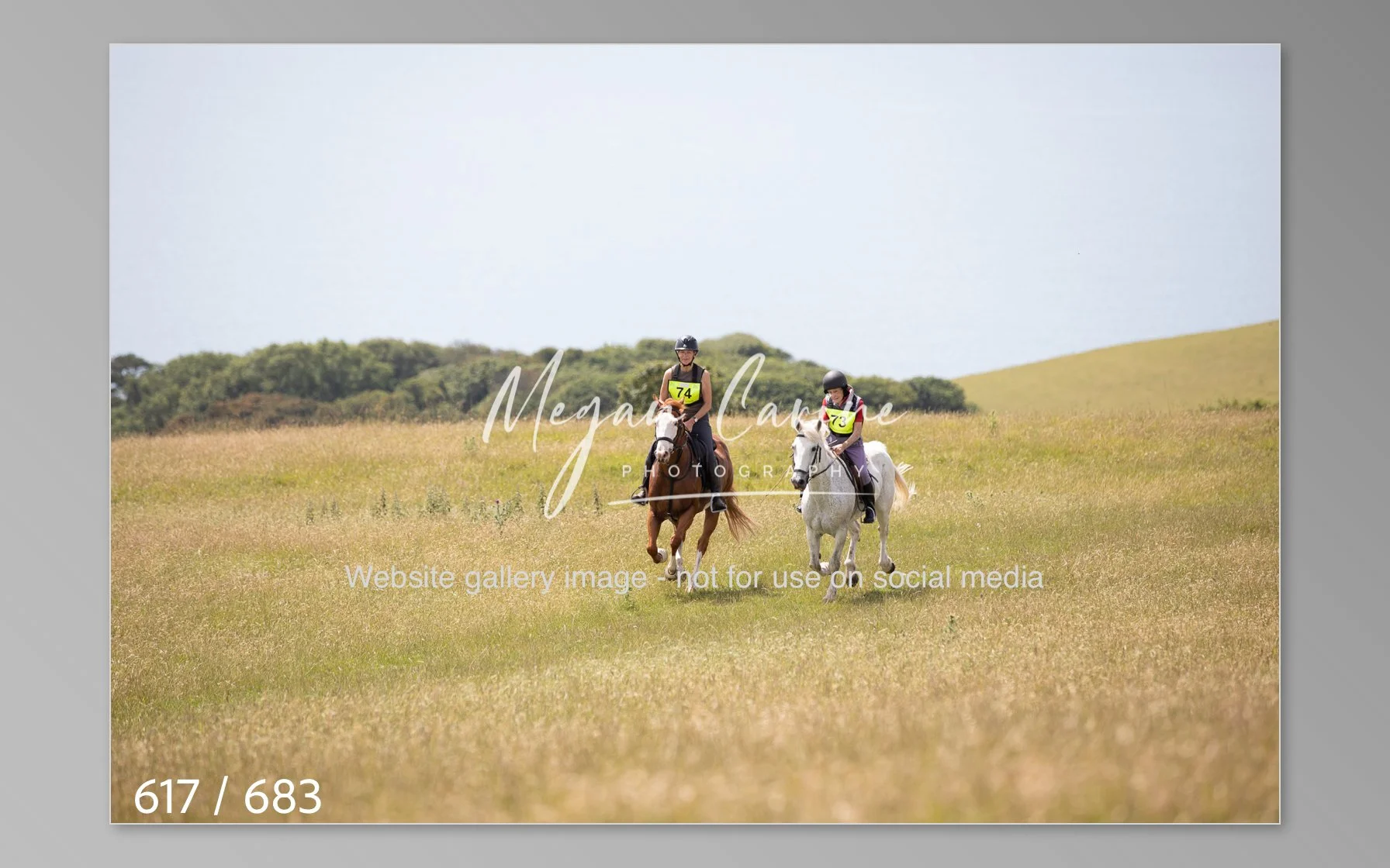 Abbotsbury-617.jpg