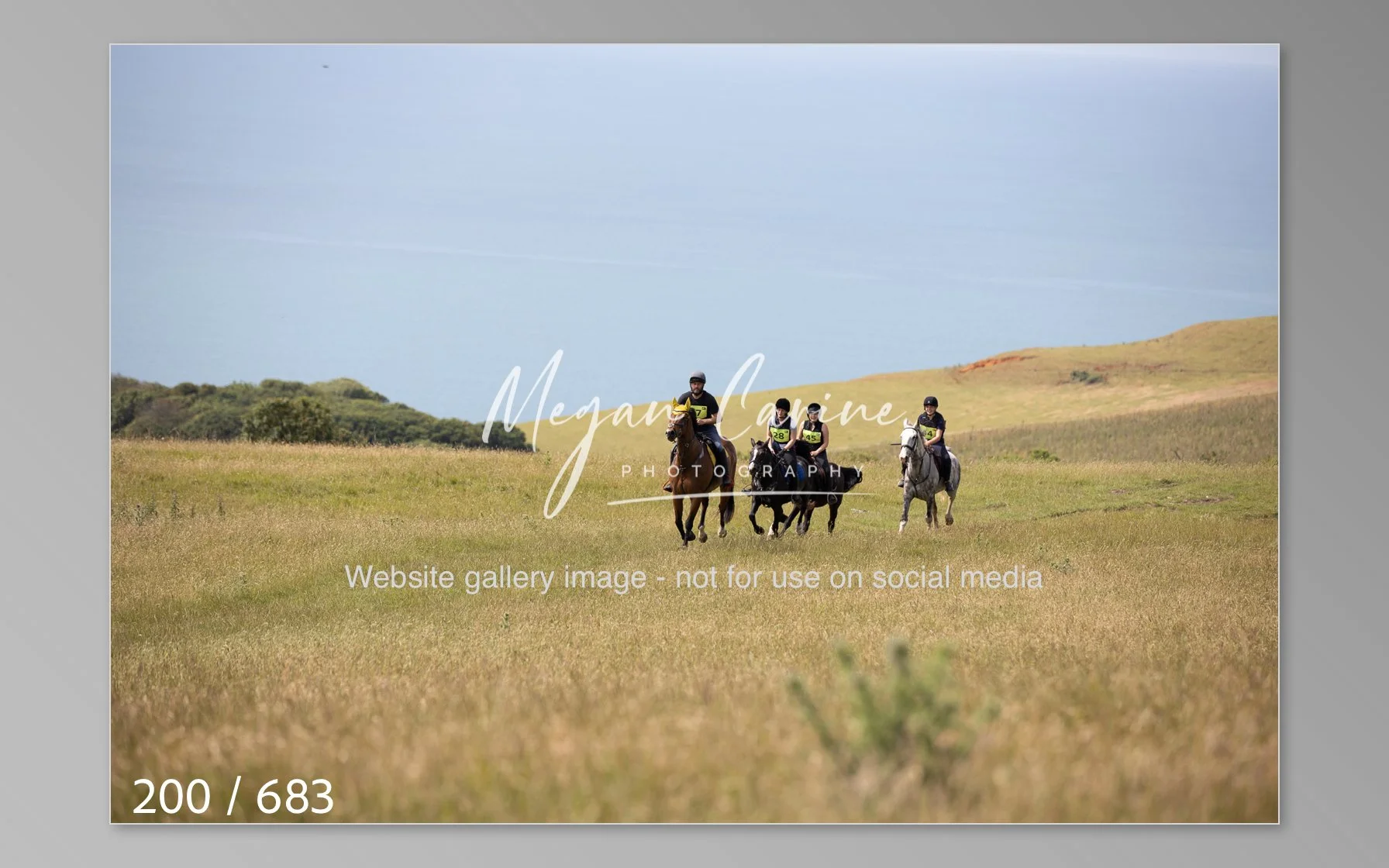 Abbotsbury-200.jpg