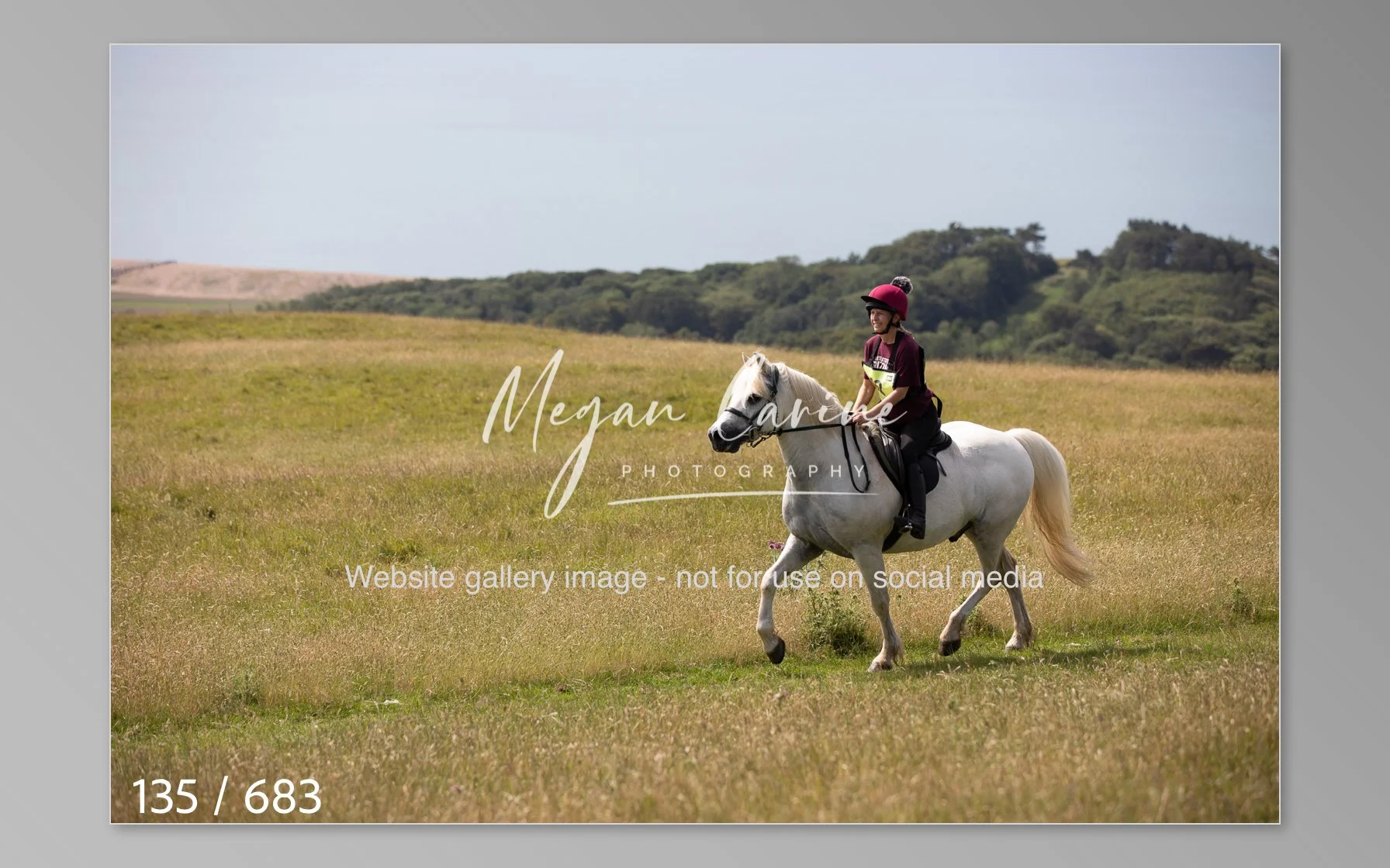 Abbotsbury-135.jpg