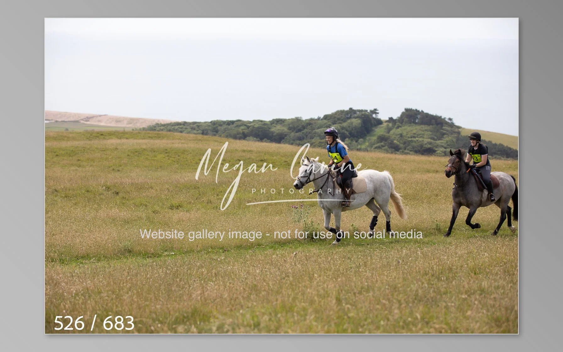 Abbotsbury-526.jpg