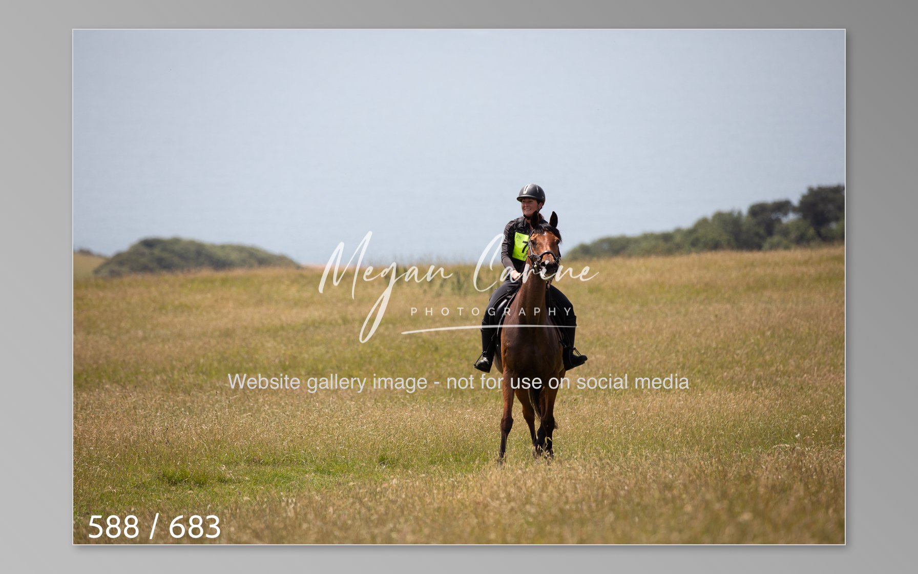 Abbotsbury-588.jpg