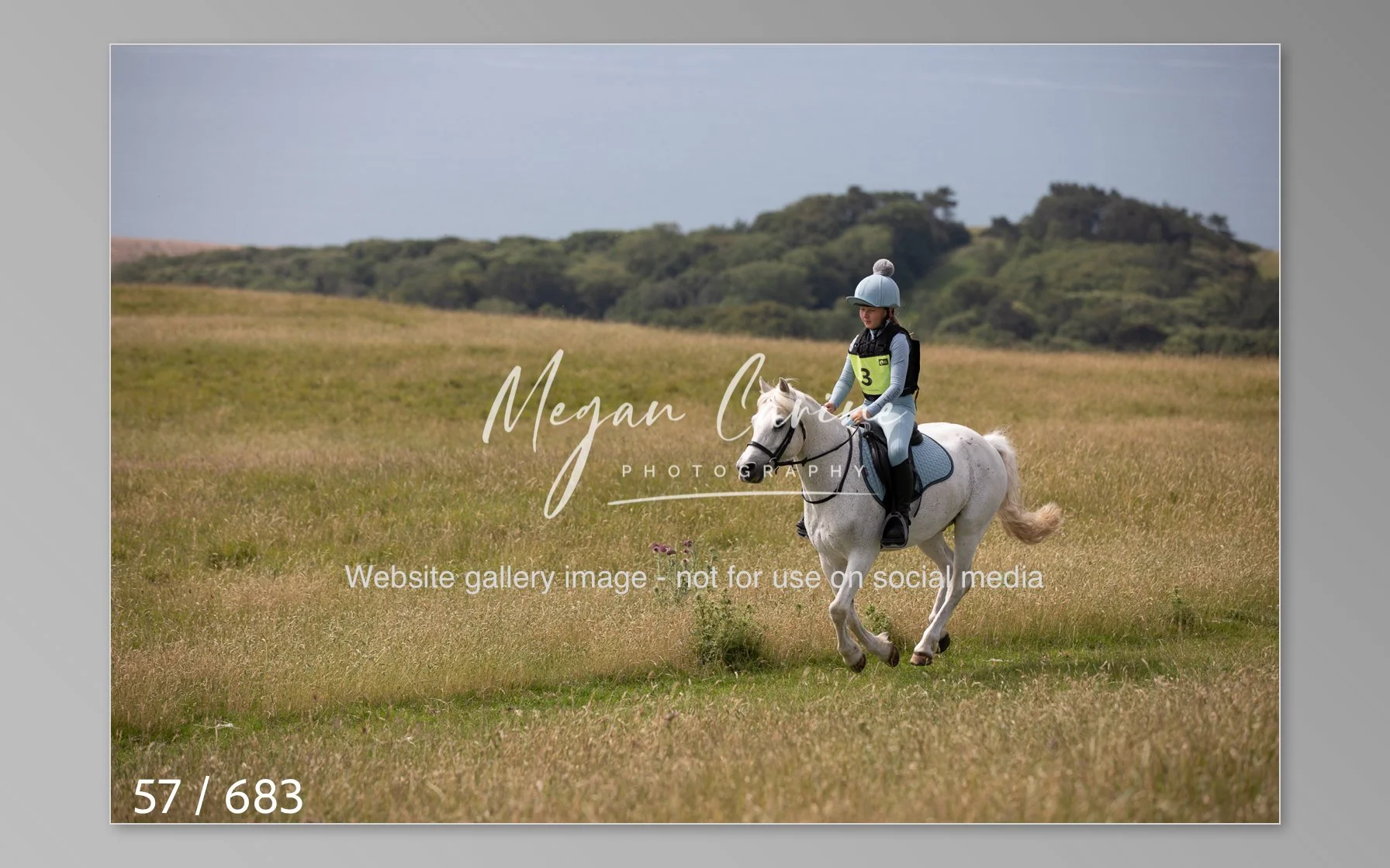 Abbotsbury-057.jpg