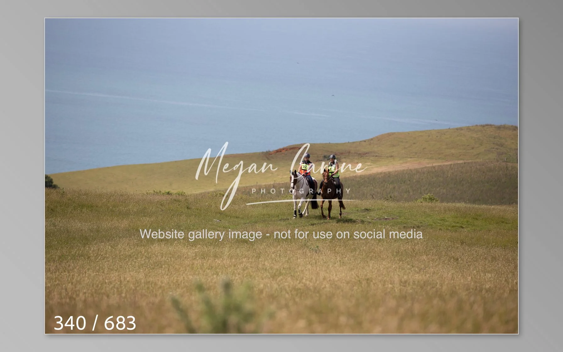 Abbotsbury-340.jpg