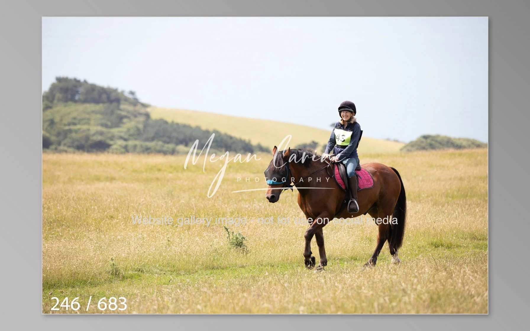 Abbotsbury-246.jpg