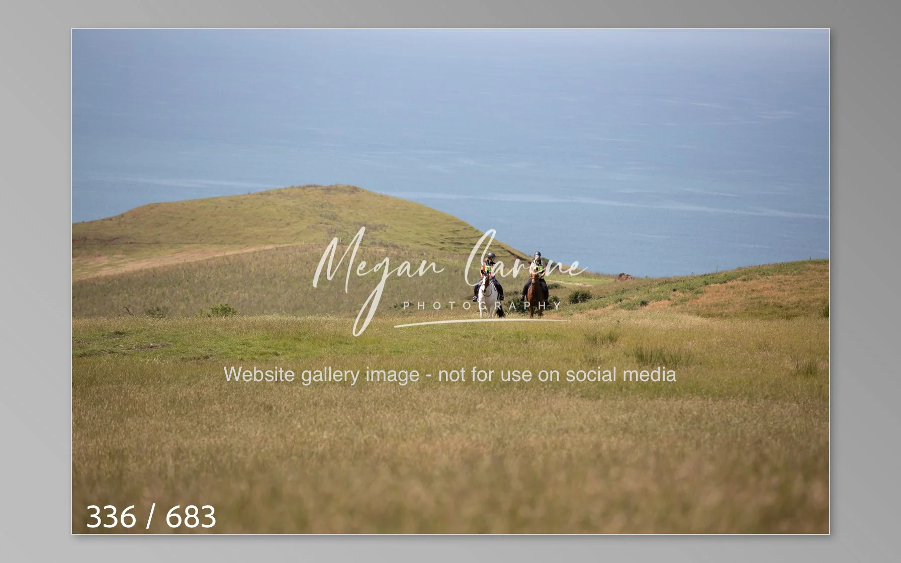 Abbotsbury-336.jpg