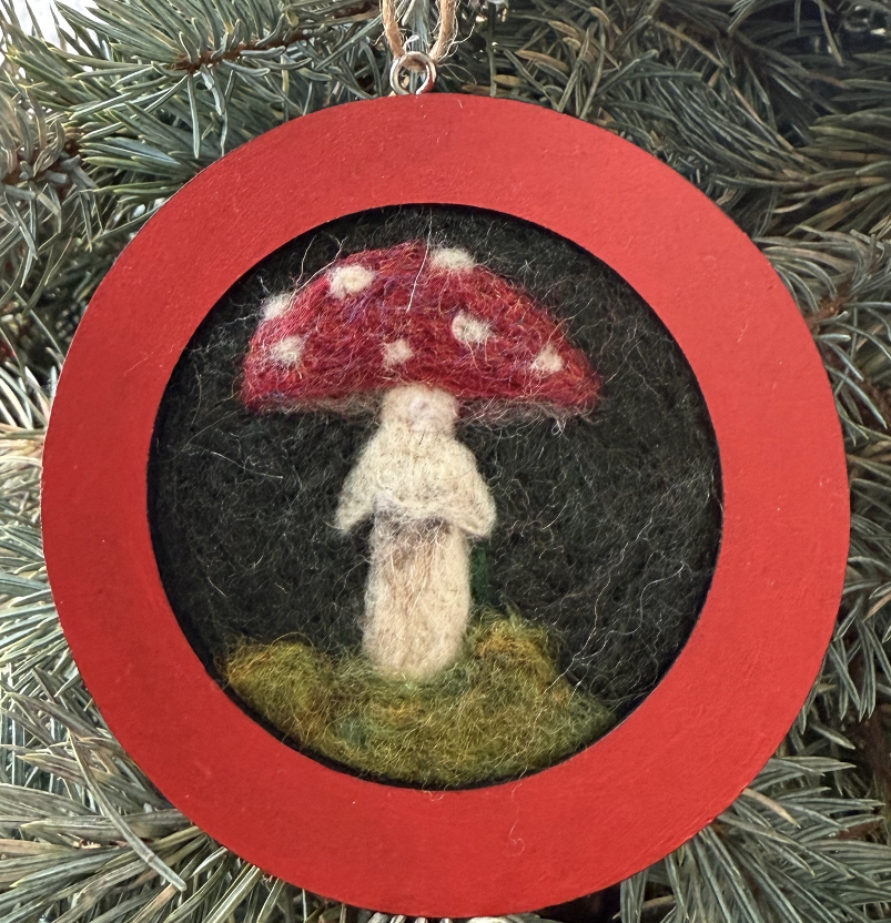 10/10 Needle Felting for TEEN-ADULT